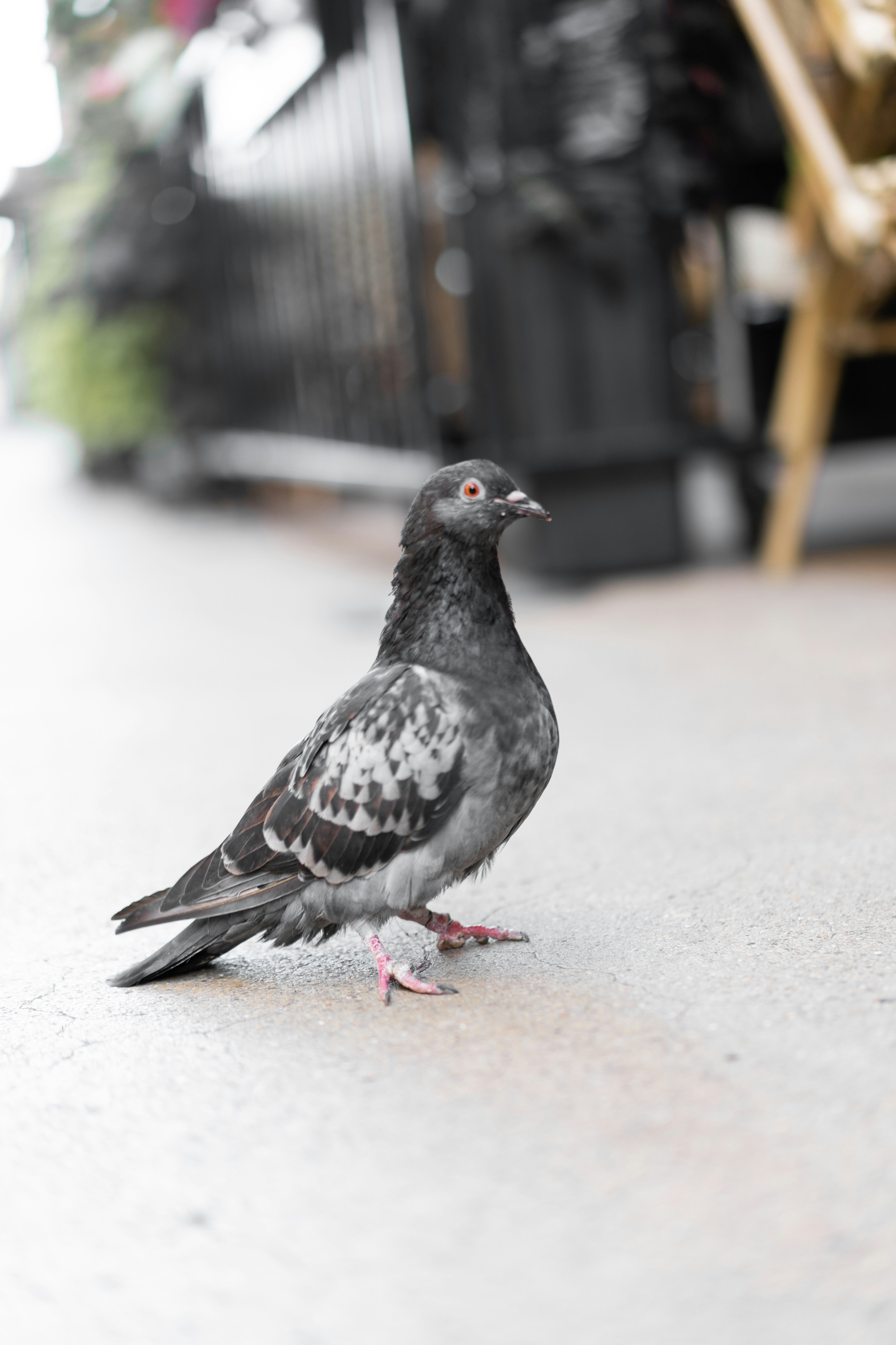 Photo by thebradleygossett