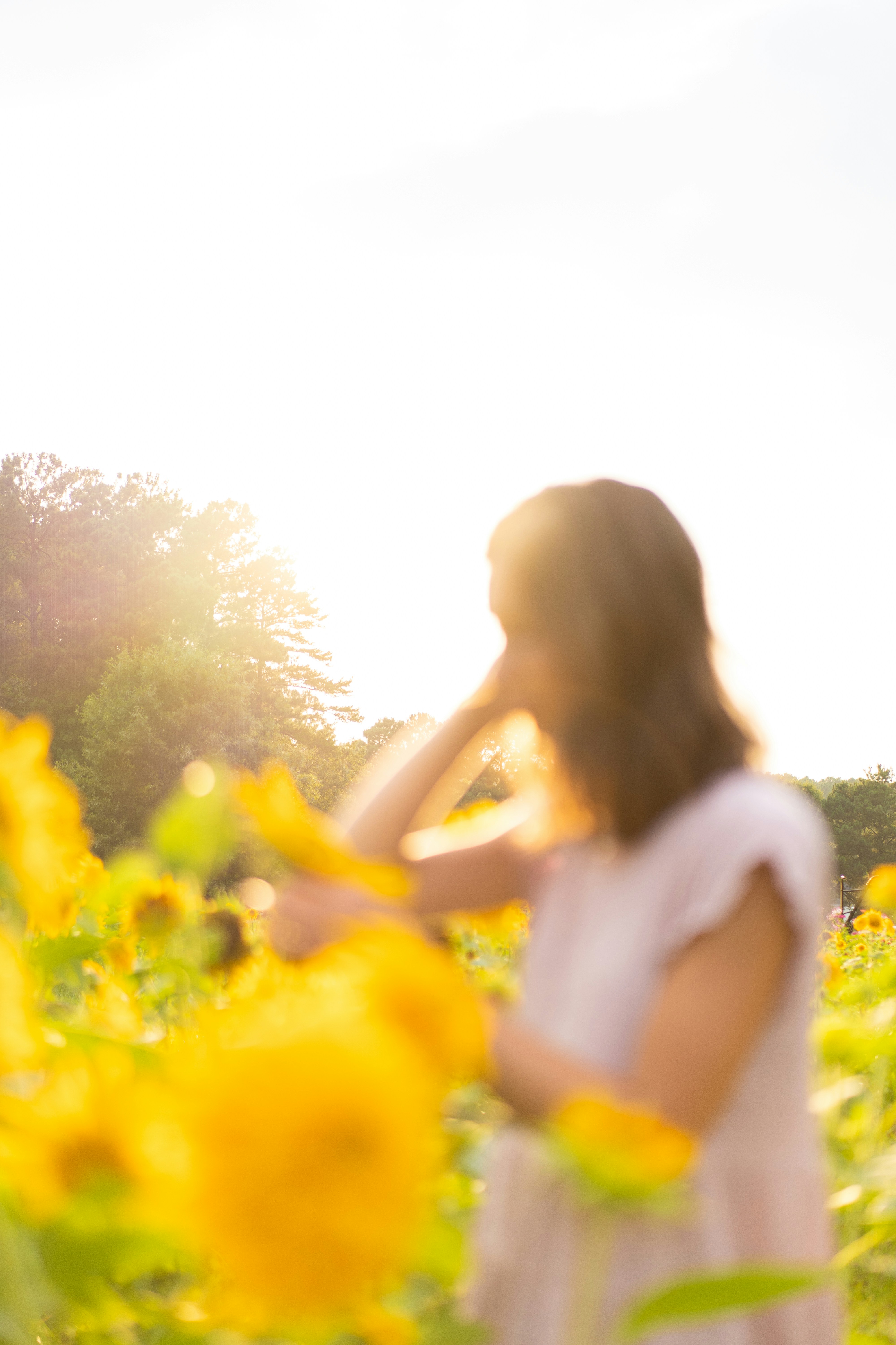 Photo by thebradleygossett