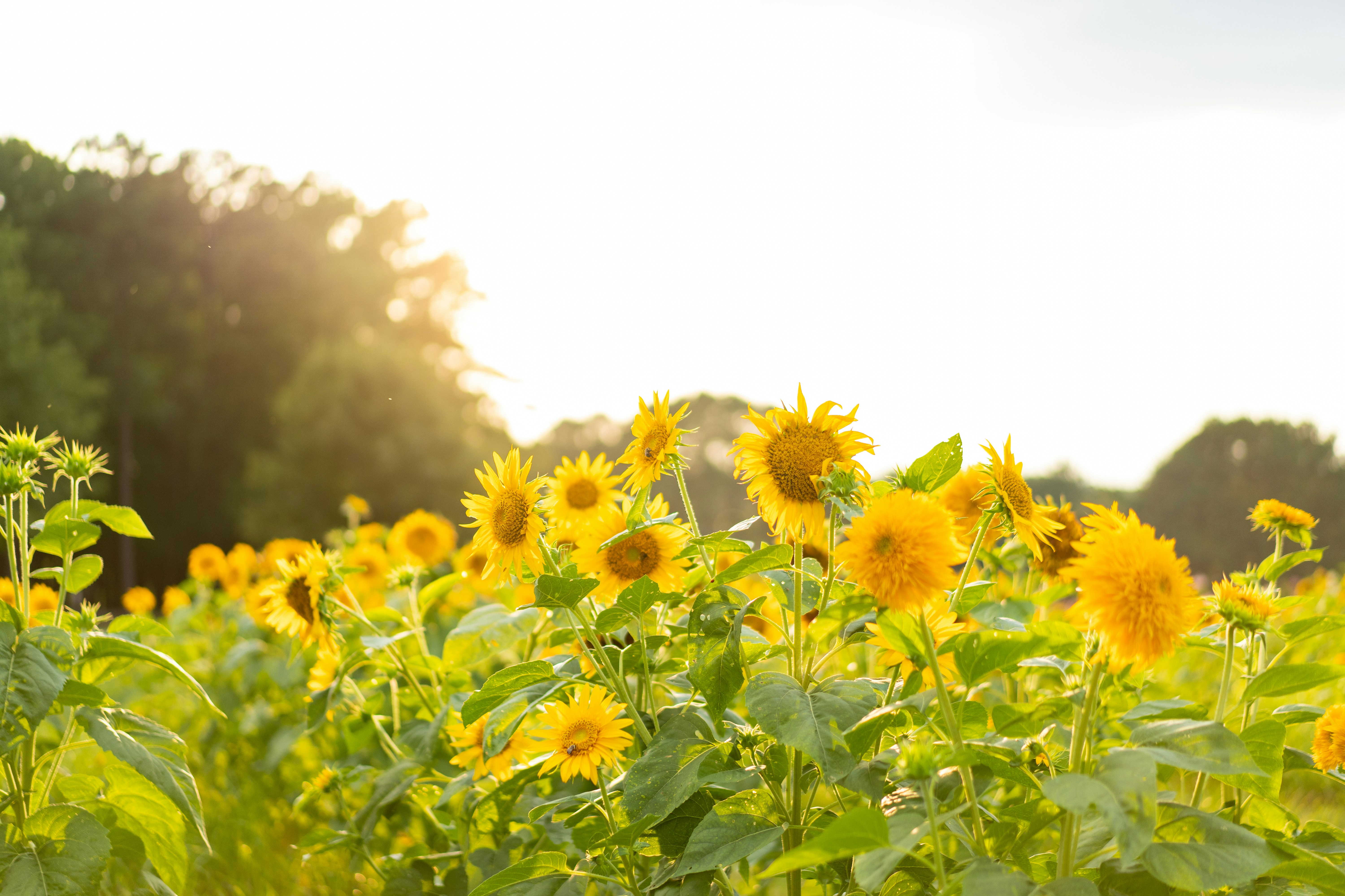 Photo by thebradleygossett