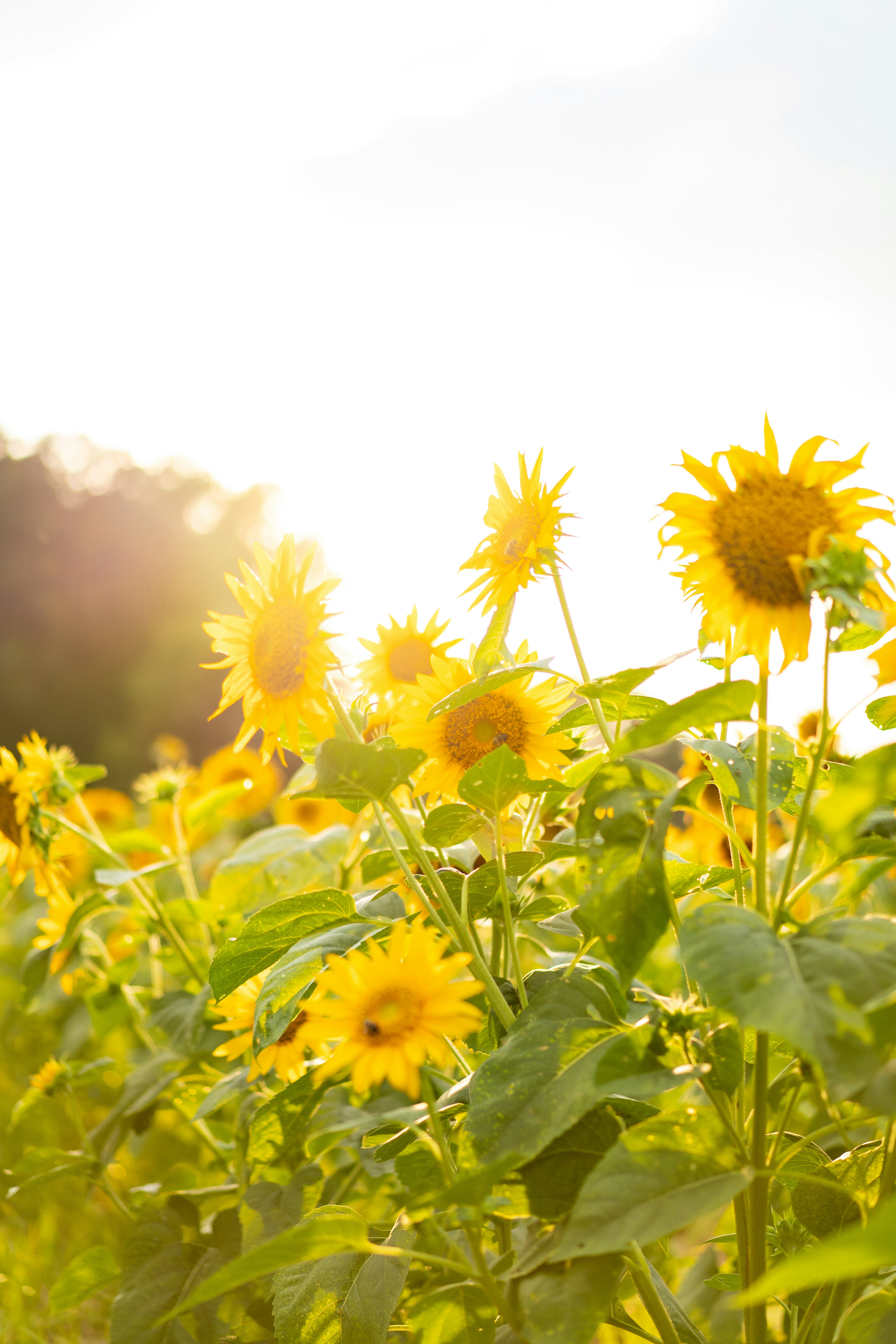 Photo by thebradleygossett