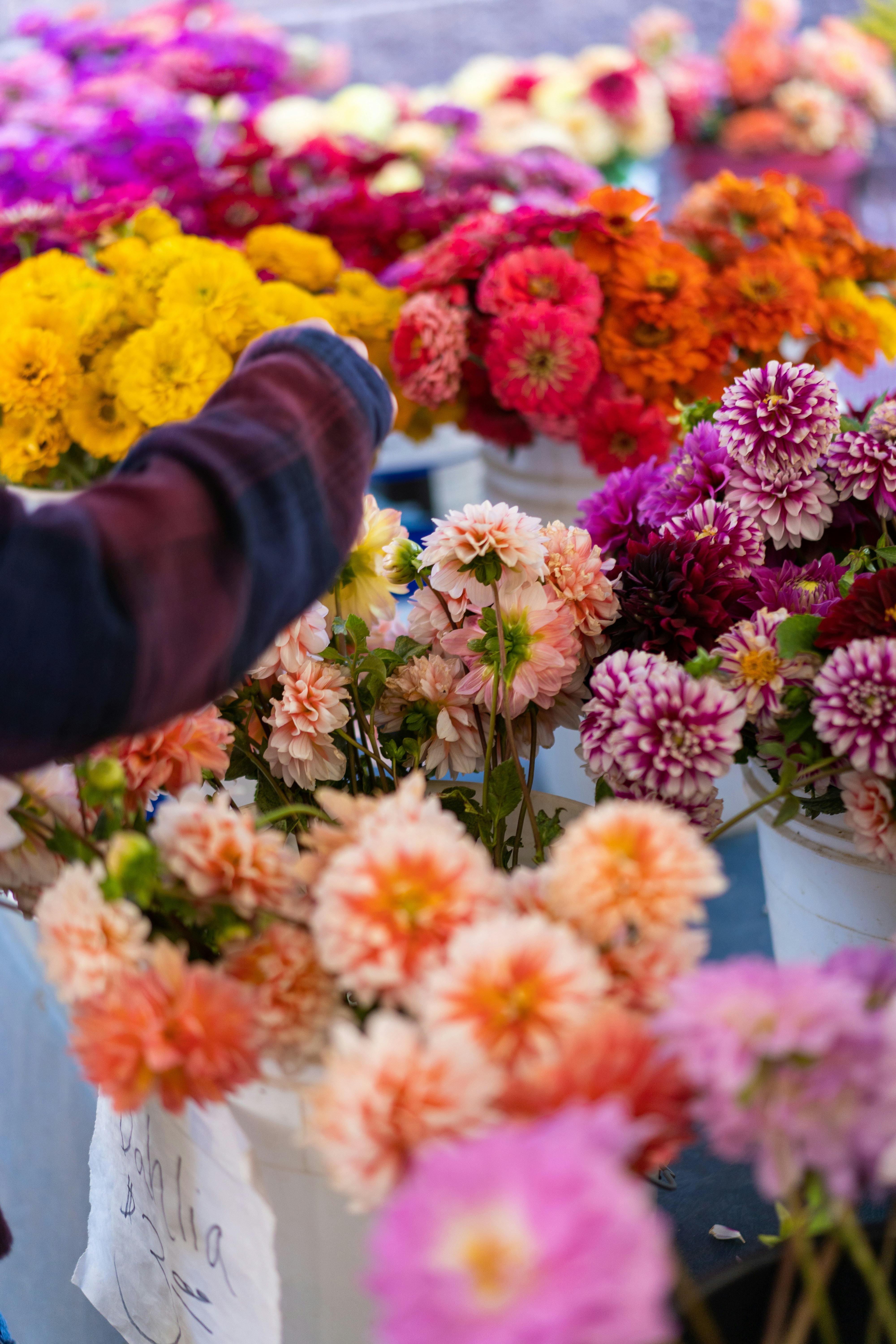 Photo by thebradleygossett