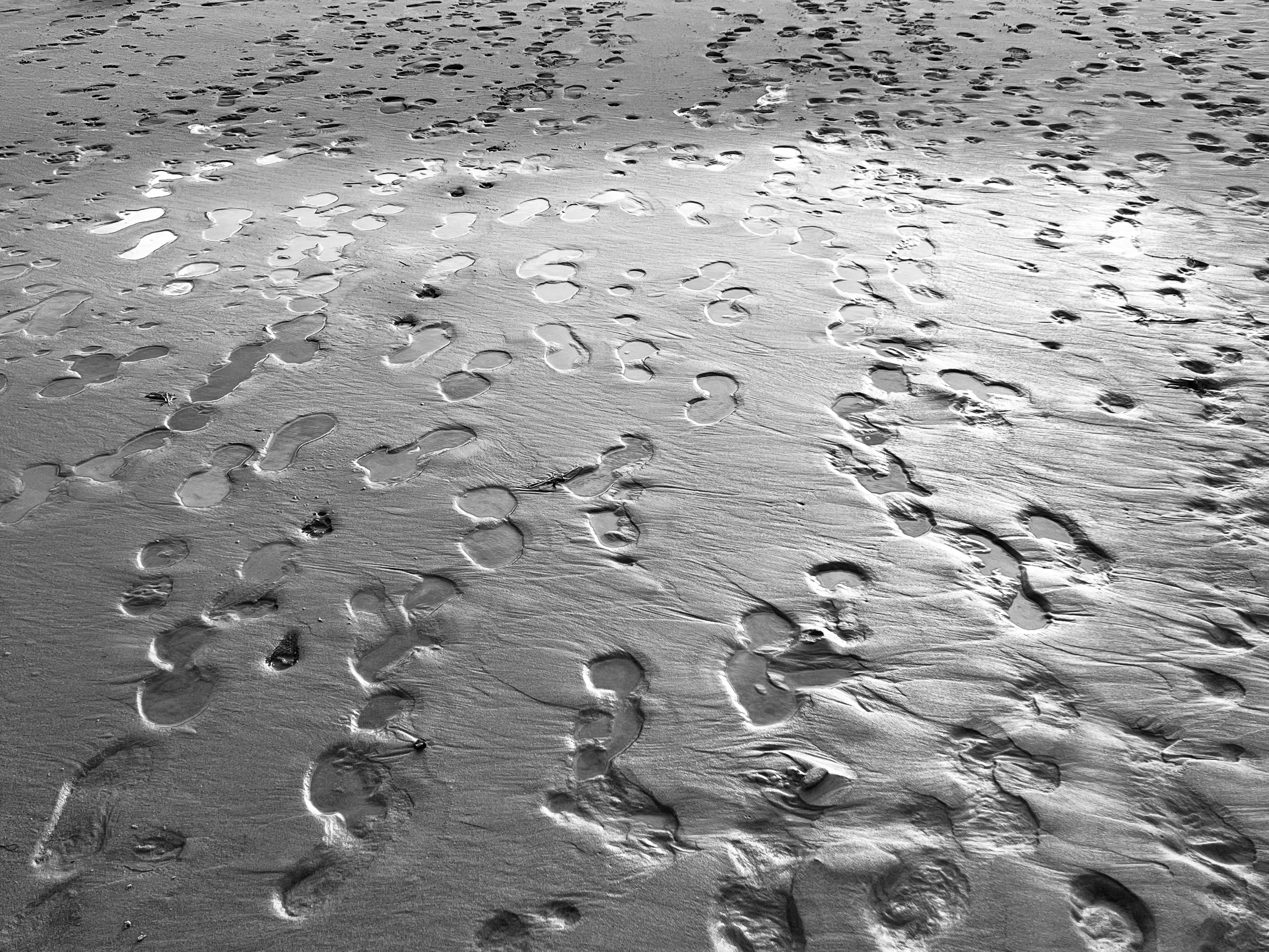 Photo by dmitry_vasilyev