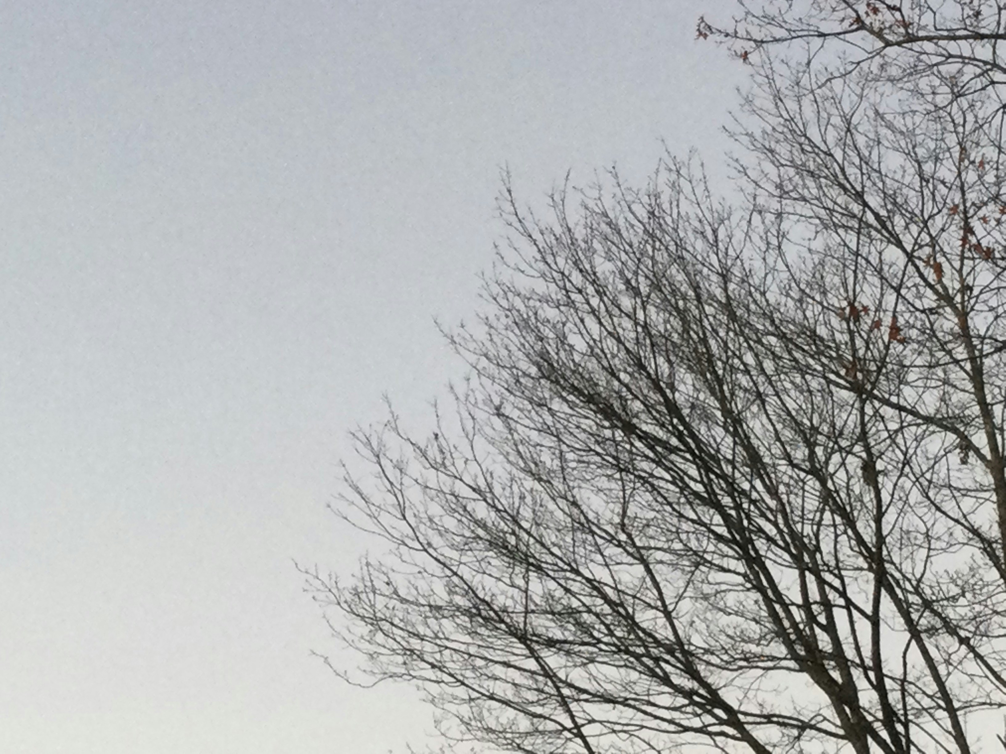 Photo by alex_nguyen14536