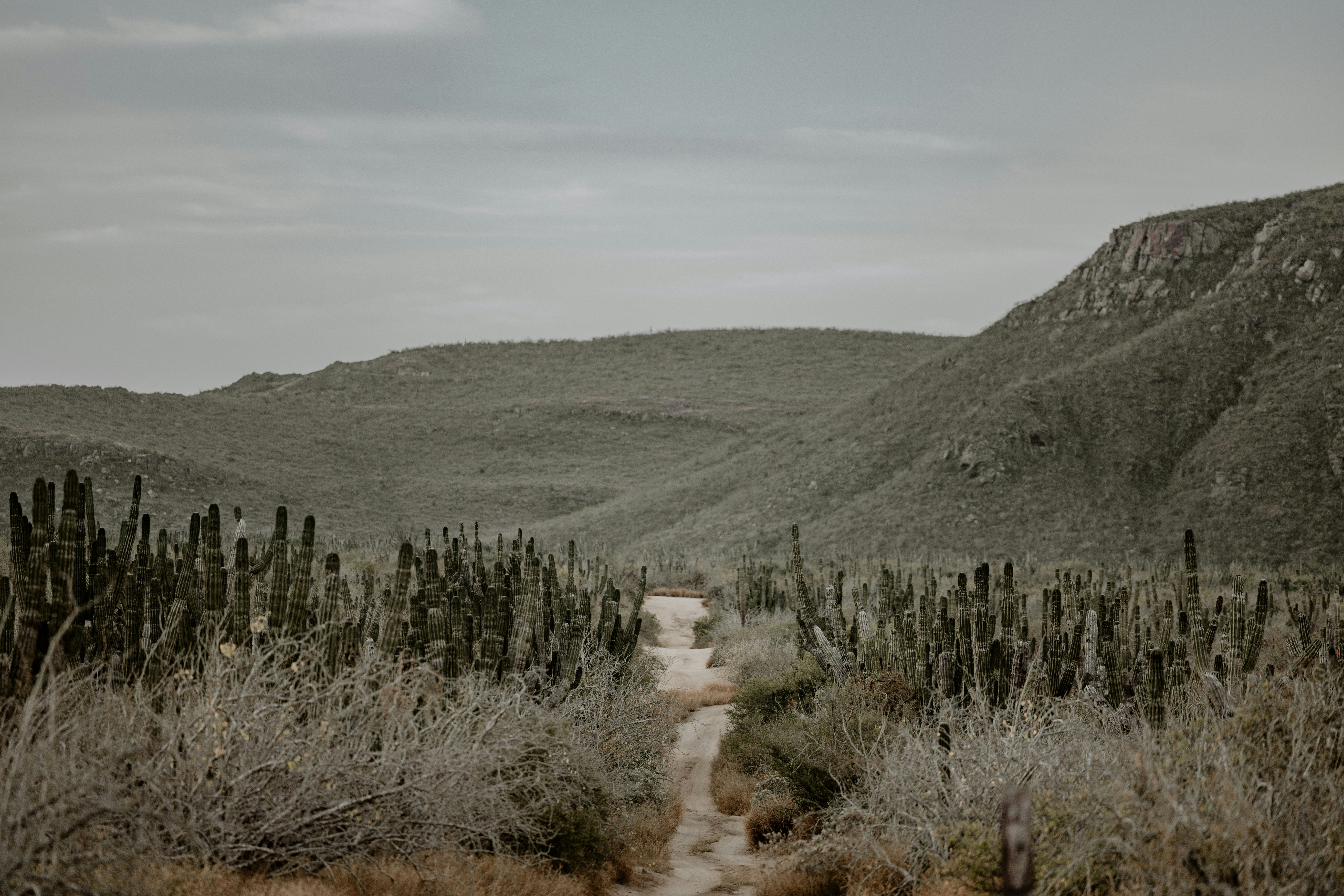 Photo by joshwithers