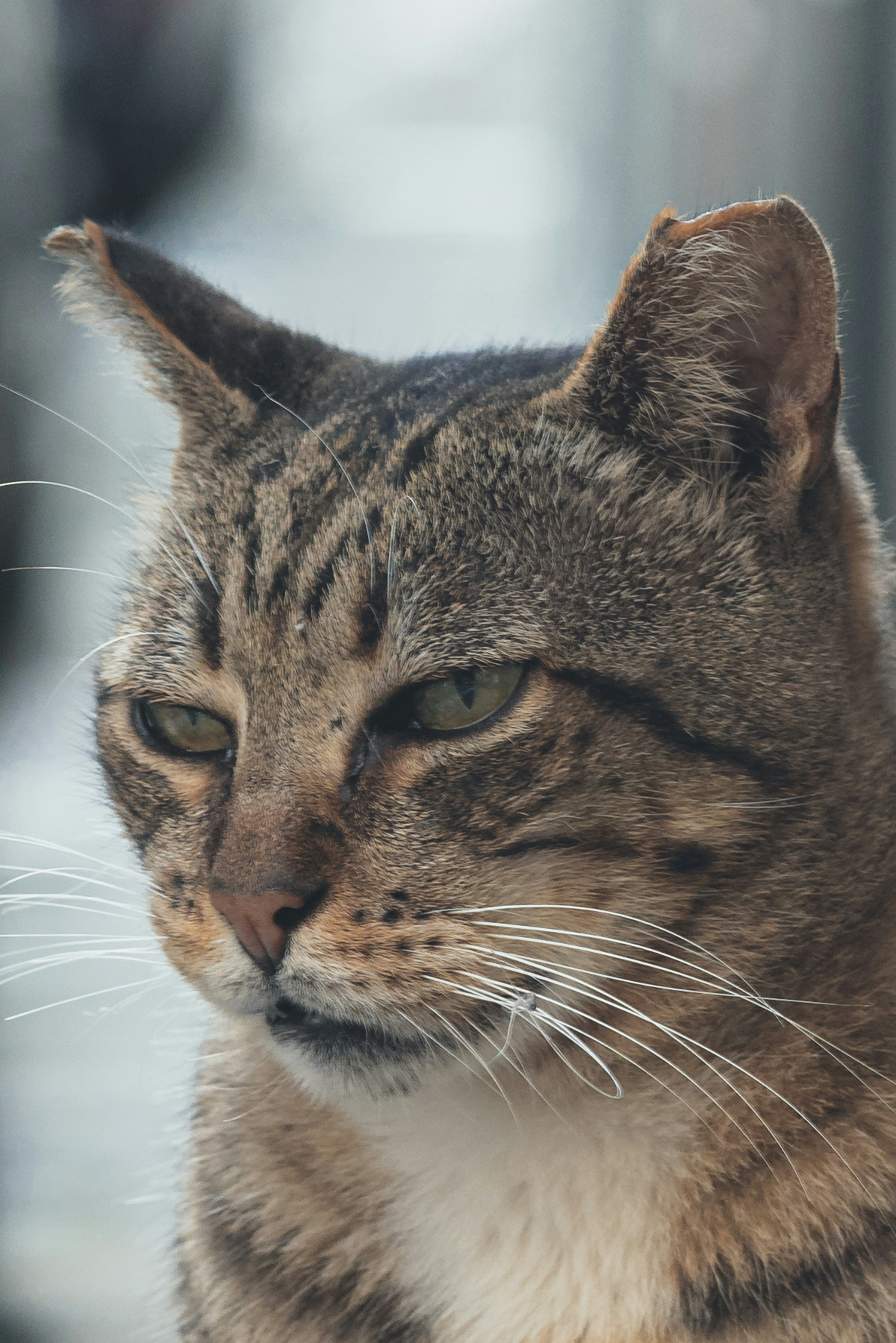 Photo by isaactmitchell