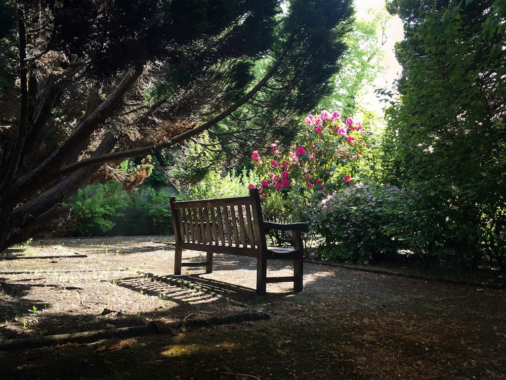 a bench in a park