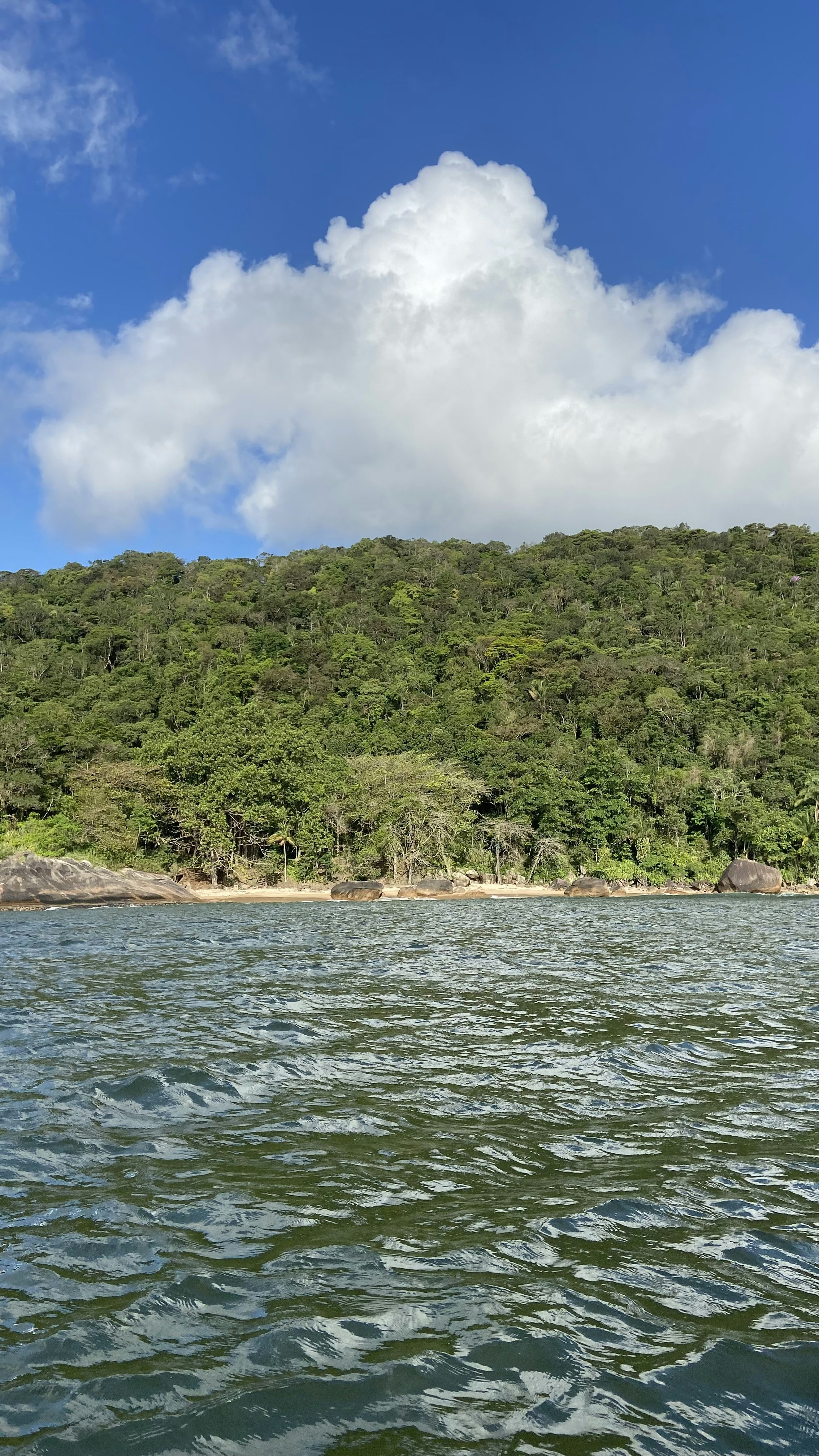 Photo by lucasbsallum