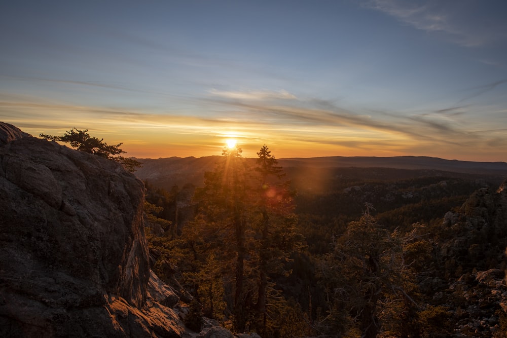 a landscape with trees and a sunset