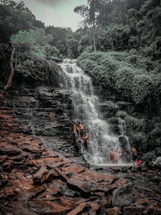 A group of trekkers enjoying a lush green forest trail near a beautiful waterfall in Sentul.