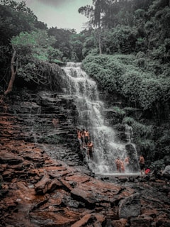 A group of happy tourists hiking along a forest trail near a sparkling waterfall.