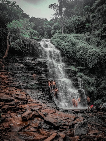 A group of happy tourists hiking along a forest trail near a sparkling waterfall.