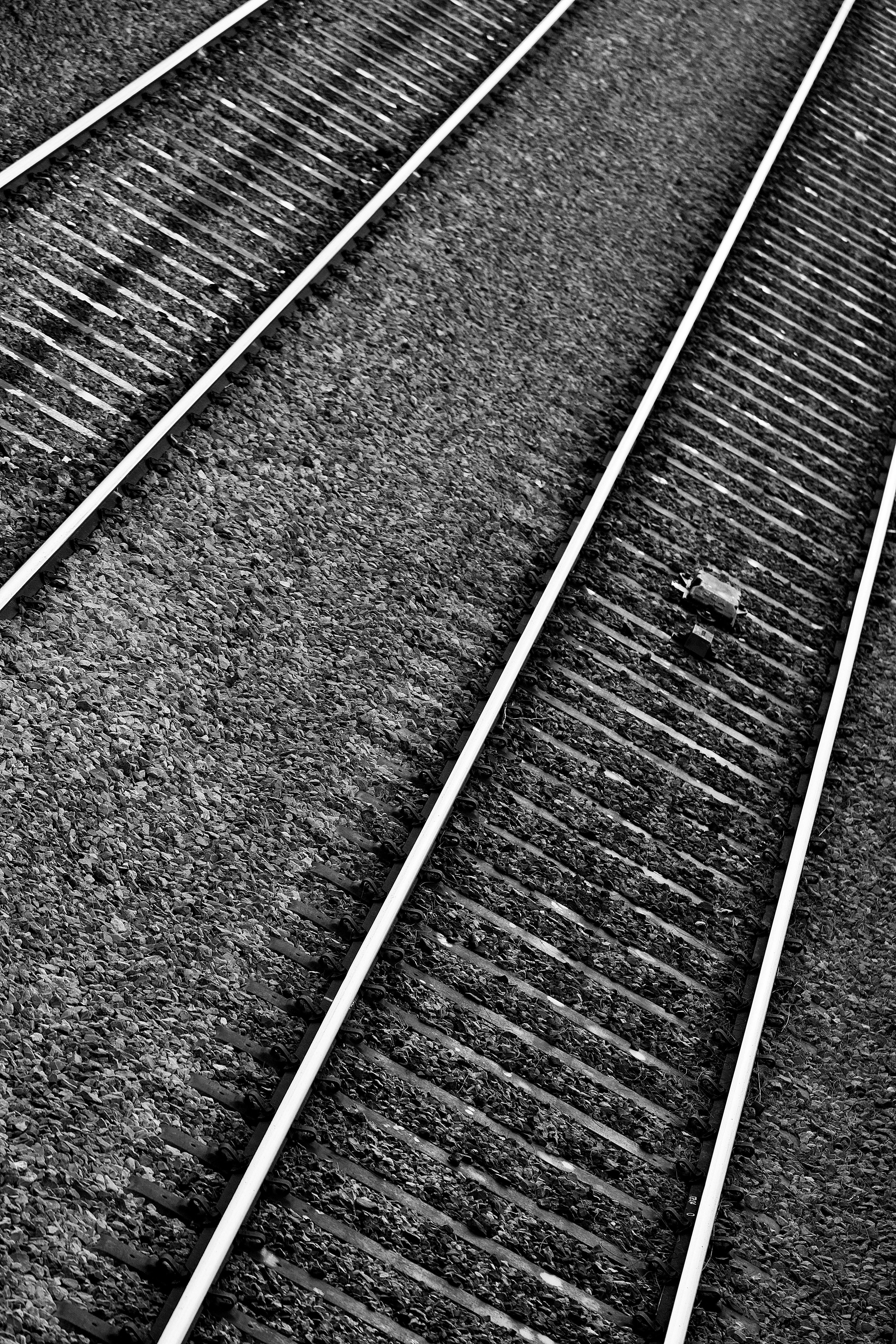 Photo by sketcher1084