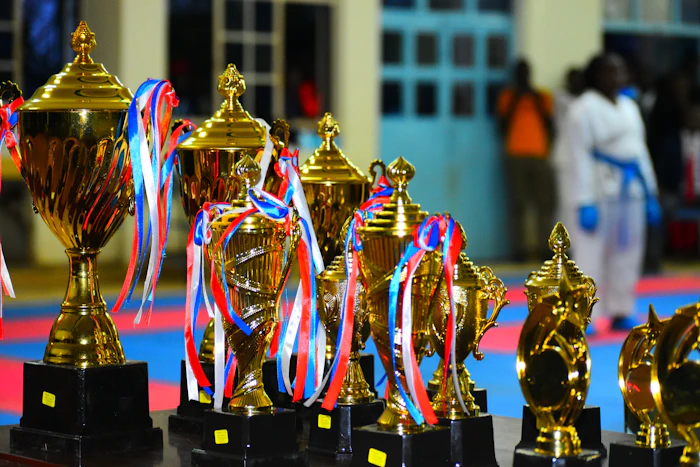 Championship belt category
