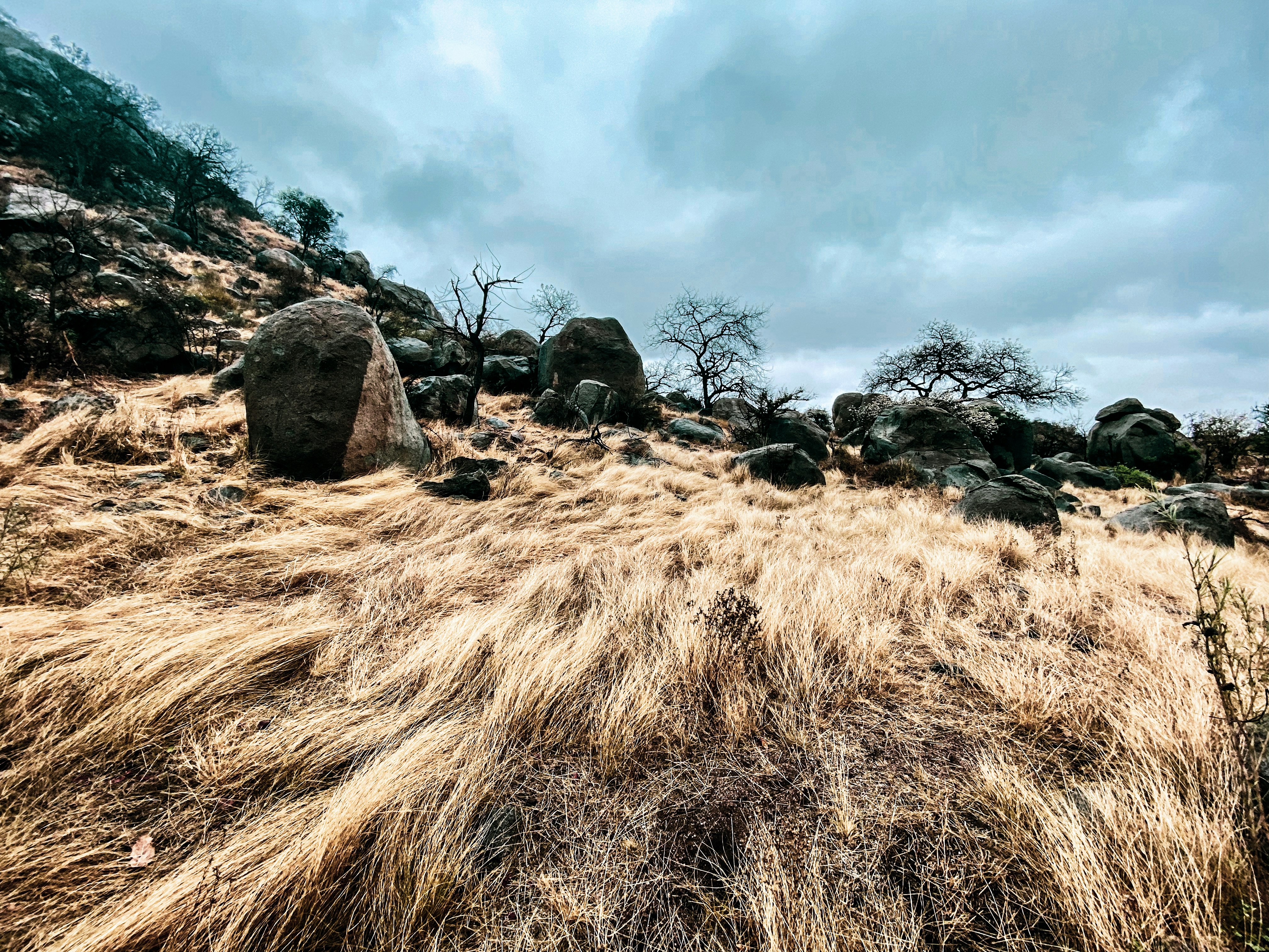 A grassy area with rocks in it photo – Free Ground Image on Unsplash
