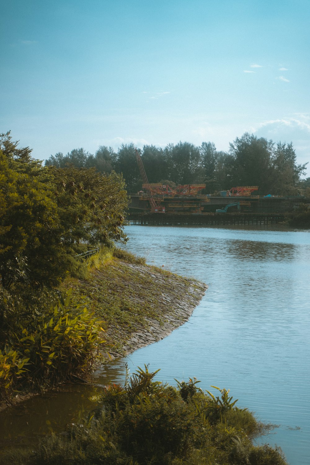 a body of water with trees around it