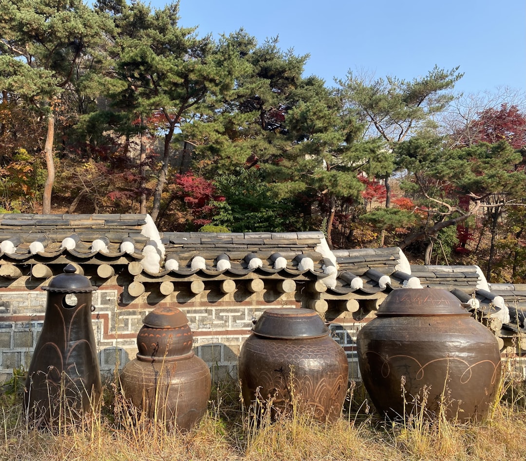 Seoul Searching: Finding Authentic Korean Culture in LA's Koreatown… — Seoul Searching