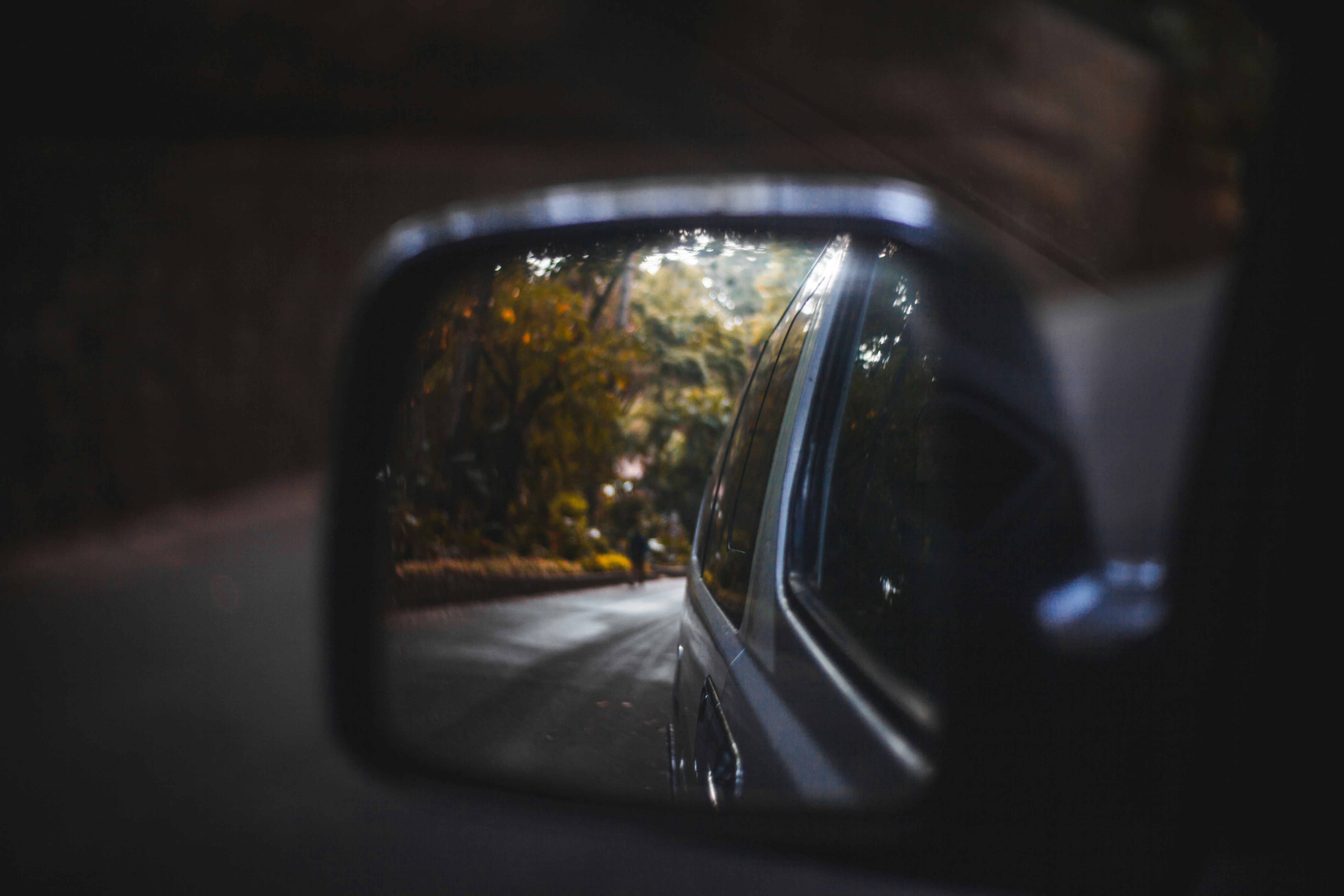 Photo by alekseyryan