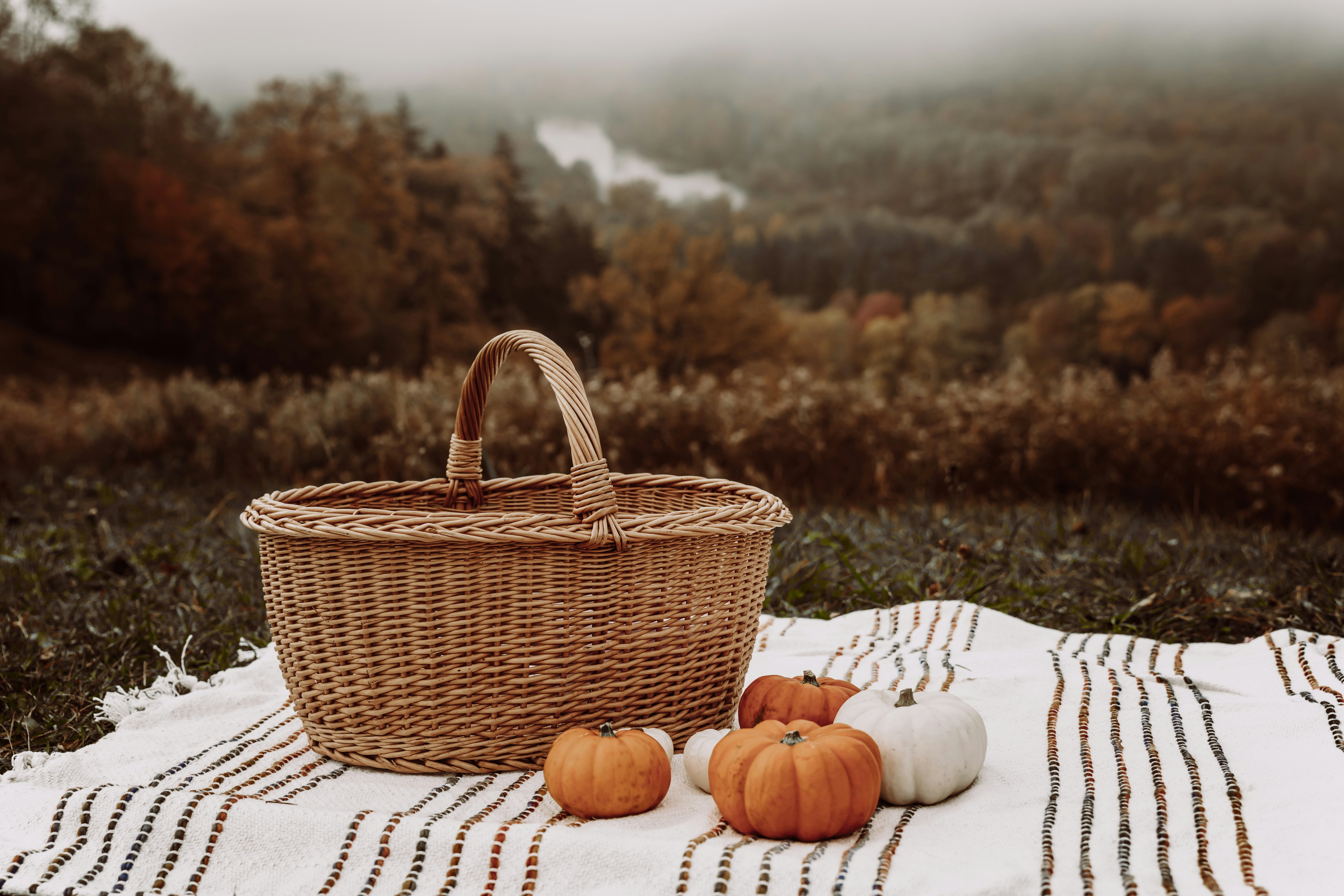a basket of eggs on a blanket, 
