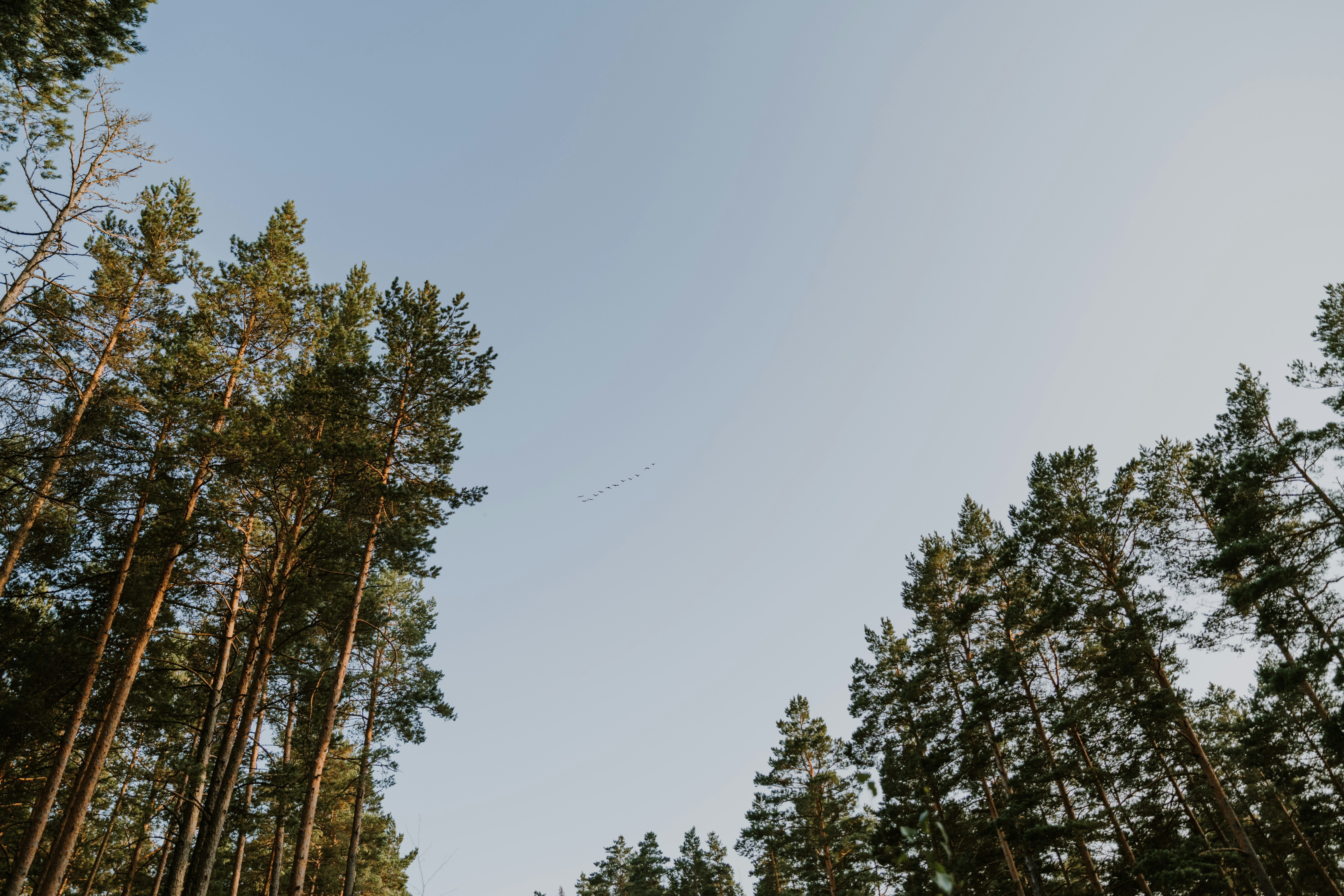 Photo by anitaaustvika