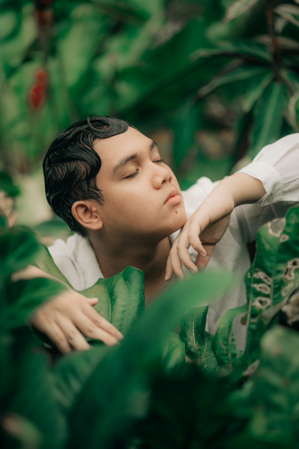 a woman lying in a bush