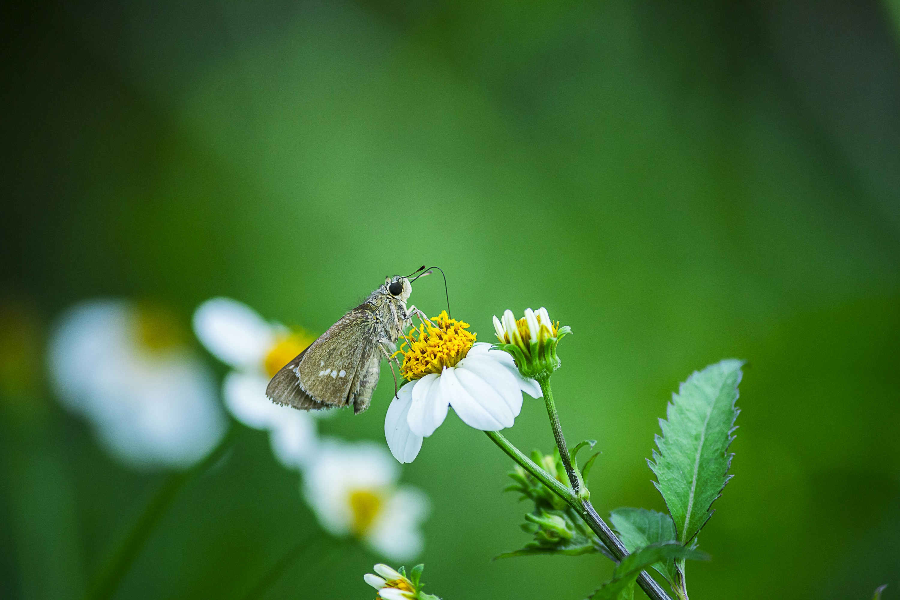 Photo by light_rays
