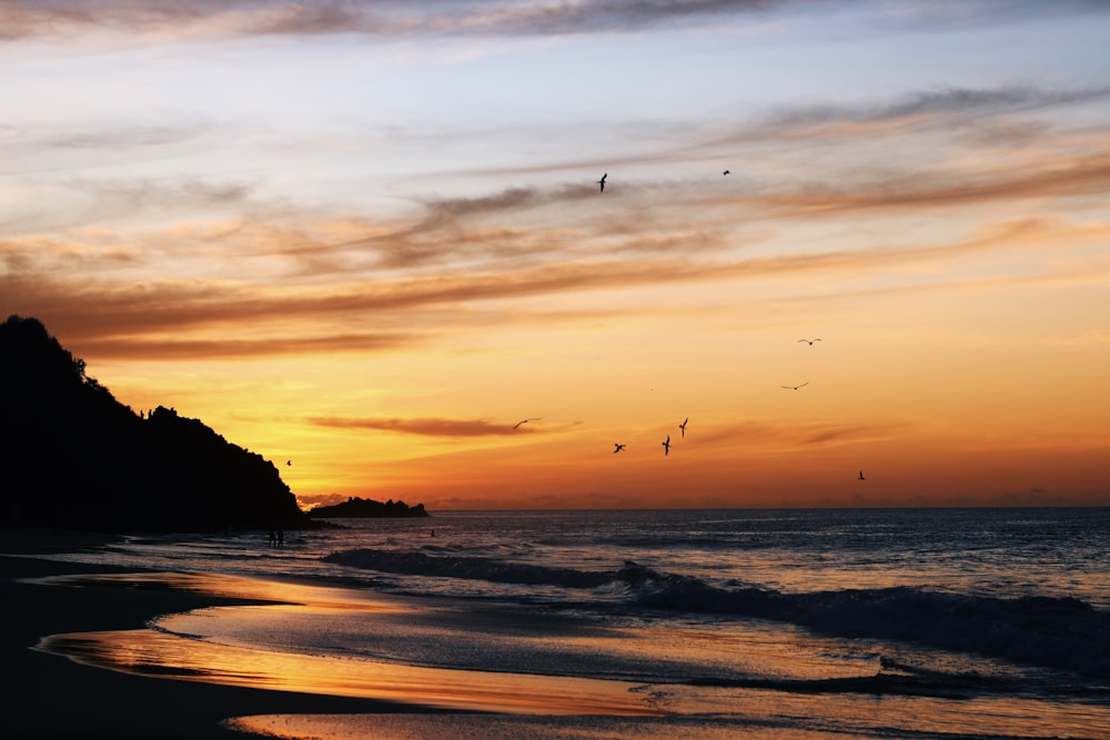 a group of birds flying over a beach