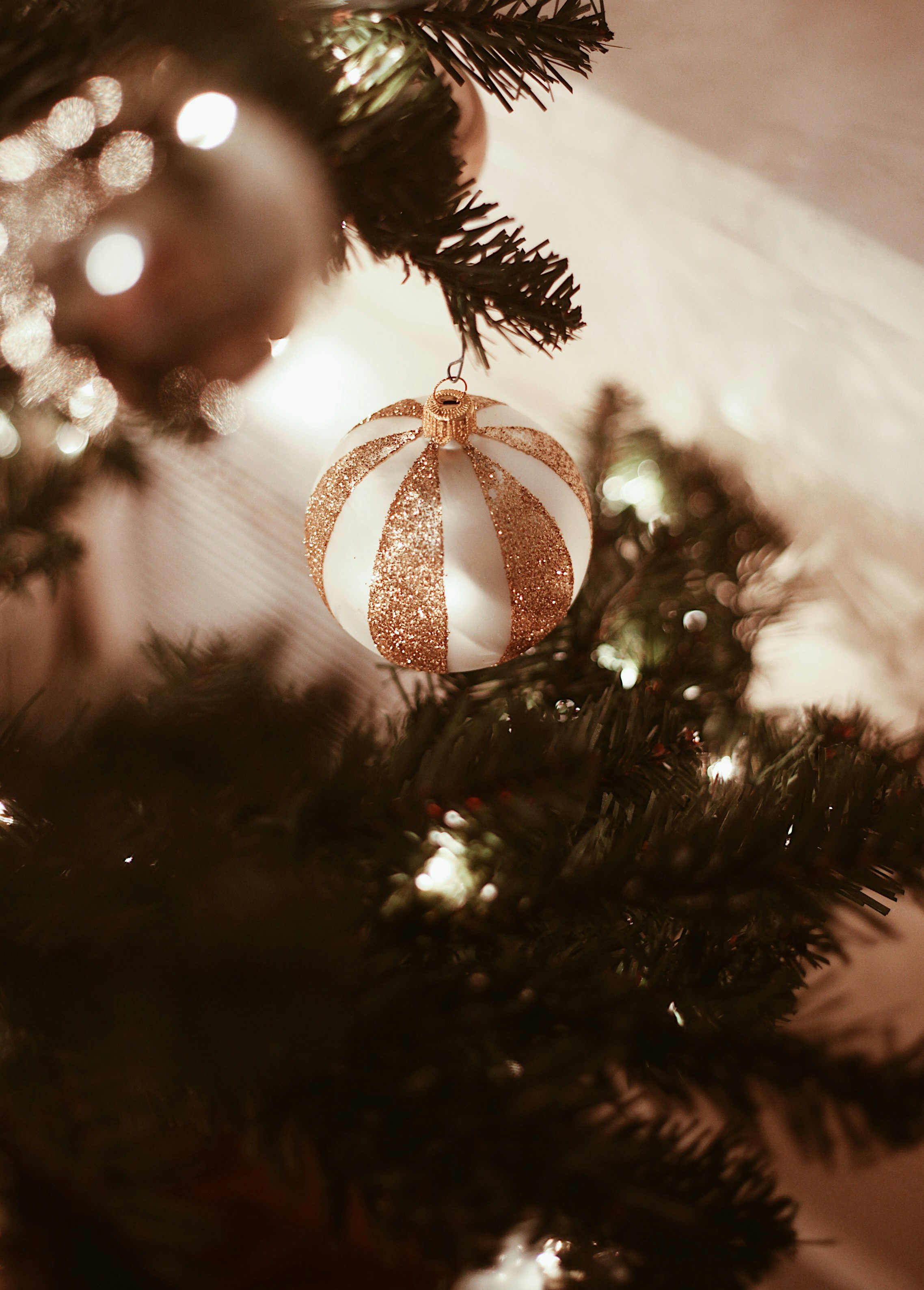 Photo by earthtokarly