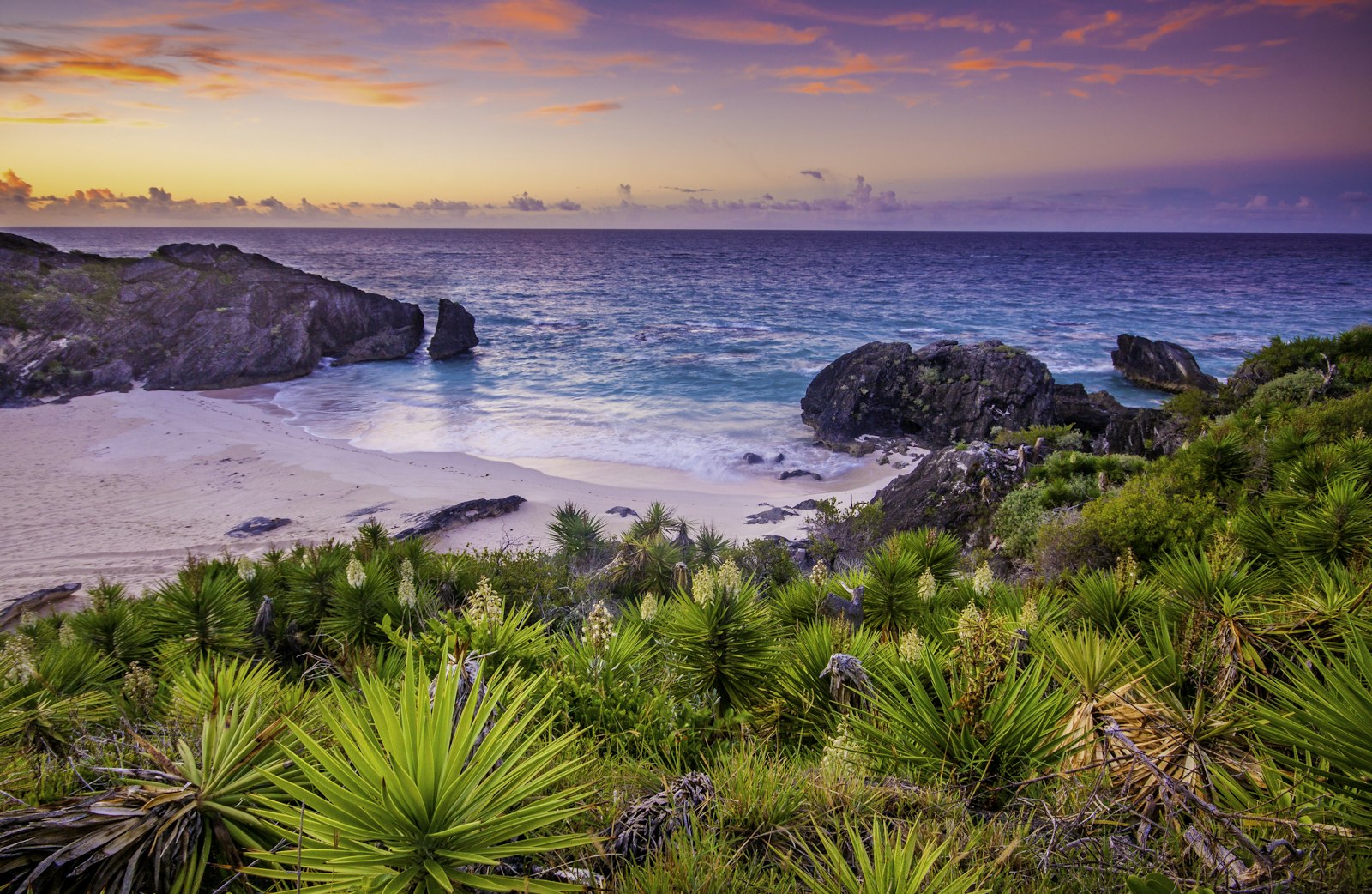 Pink sand cove beach in Bermuda at sunset with limestone cliffs and turquoise water