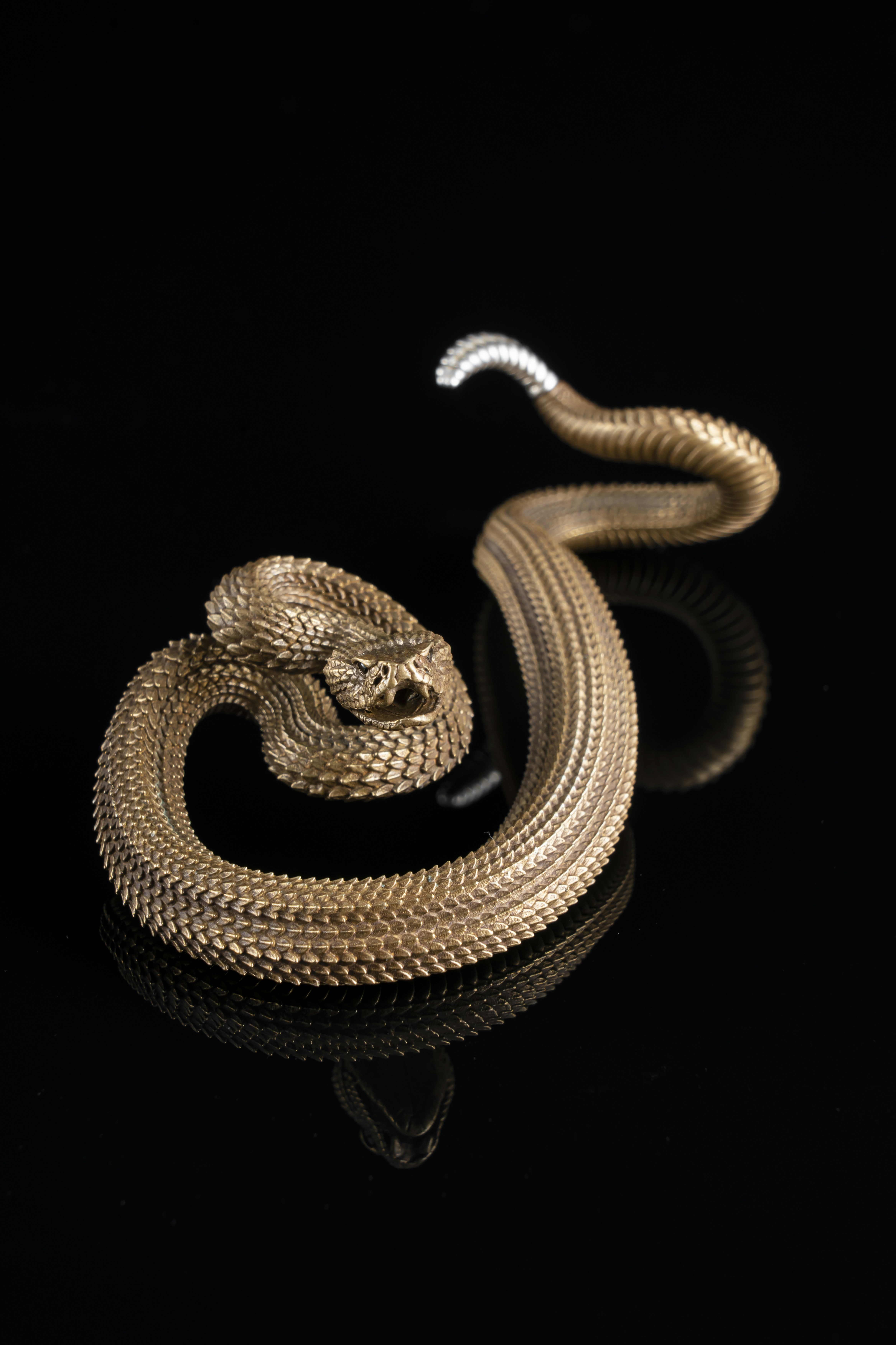 Photo by coppertistwu