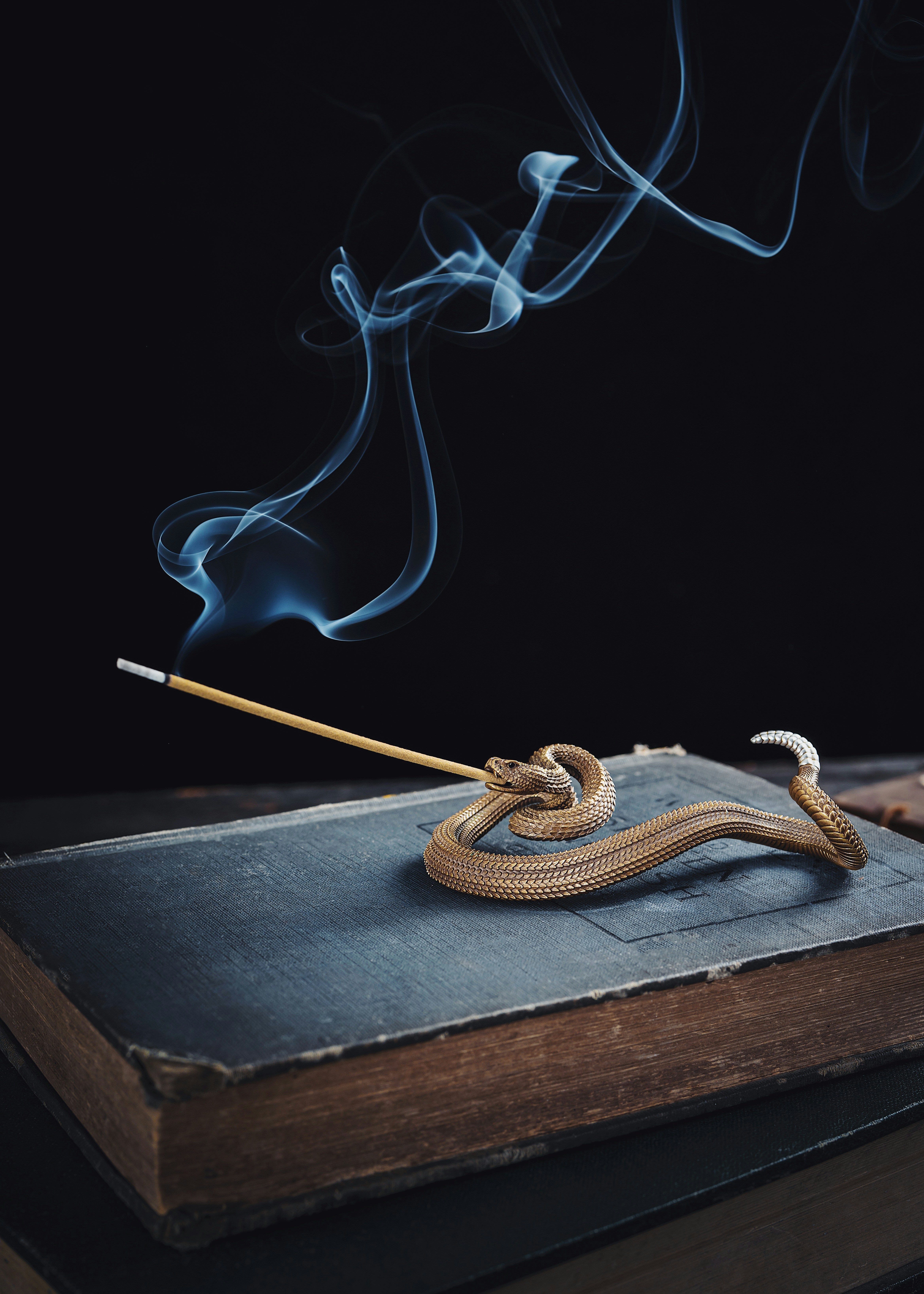 Photo by coppertistwu