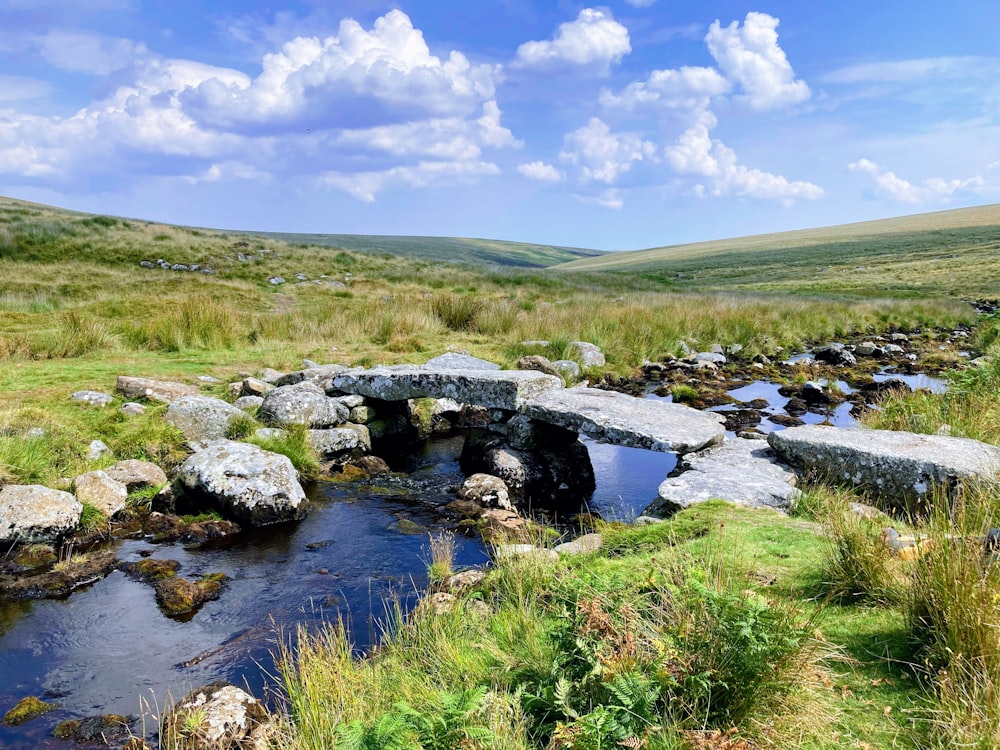 a stream of water surrounded by grass and rocks