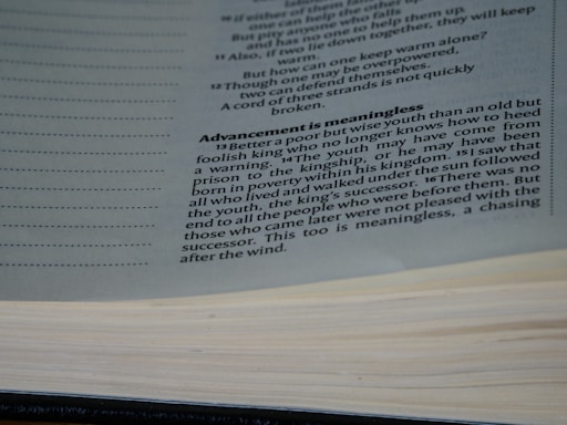 A close-up view of a book opened to a page with text discussing the theme of wisdom and youth. The text is printed in black ink on white paper, with a focus on a paragraph titled 'Advancement is meaningless'.