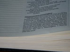 A close-up view of a book opened to a page with text discussing the theme of wisdom and youth. The text is printed in black ink on white paper, with a focus on a paragraph titled 'Advancement is meaningless'.