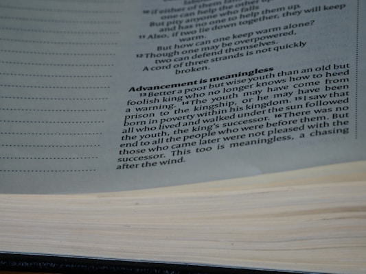A close-up view of a book opened to a page with text discussing the theme of wisdom and youth. The text is printed in black ink on white paper, with a focus on a paragraph titled 'Advancement is meaningless'.