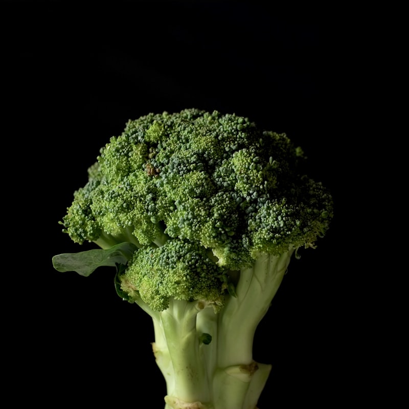 Close-up of broccoli plant