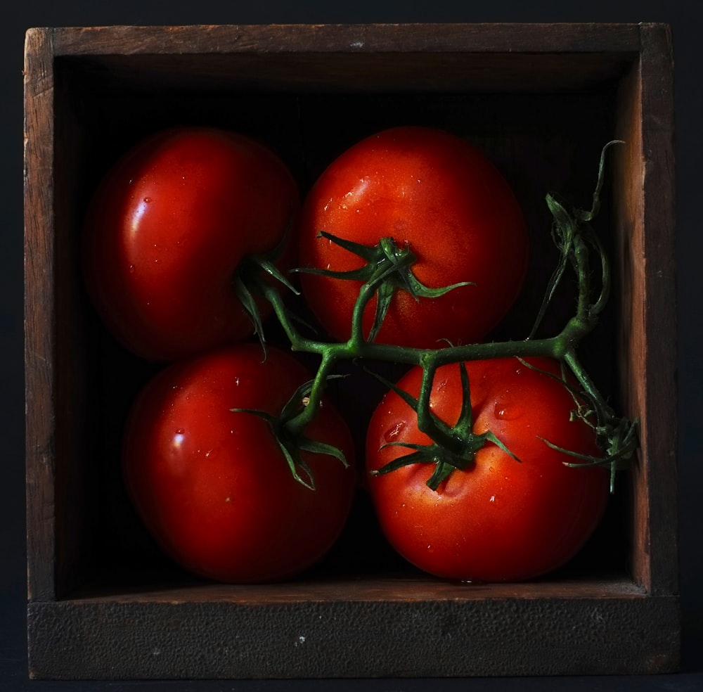 a group of tomatoes