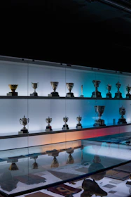 a chess board with chess pieces