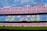 A large empty football stadium with rows of red and blue seats. The central section of seats forms the words 'MES QUE UN CLUB' in yellow letters. There are advertising banners for various brands at the top and bottom of the stands. The stadium field is visible in the foreground under a clear, partly cloudy sky.