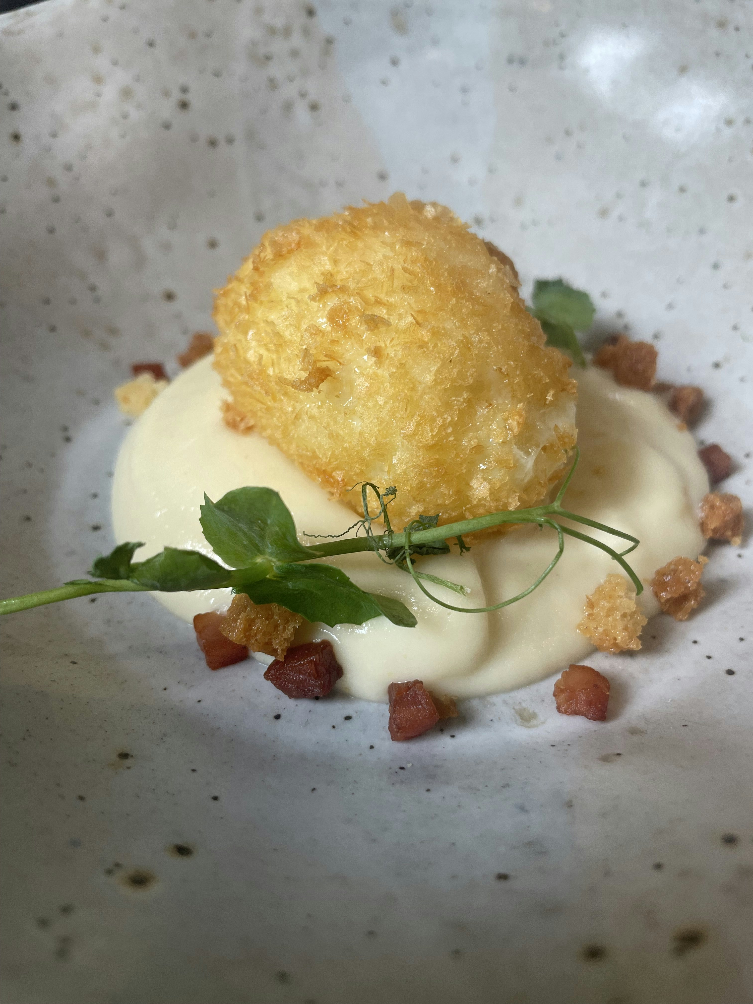 Buena Vida: For Tapas Lovers in Bordeaux