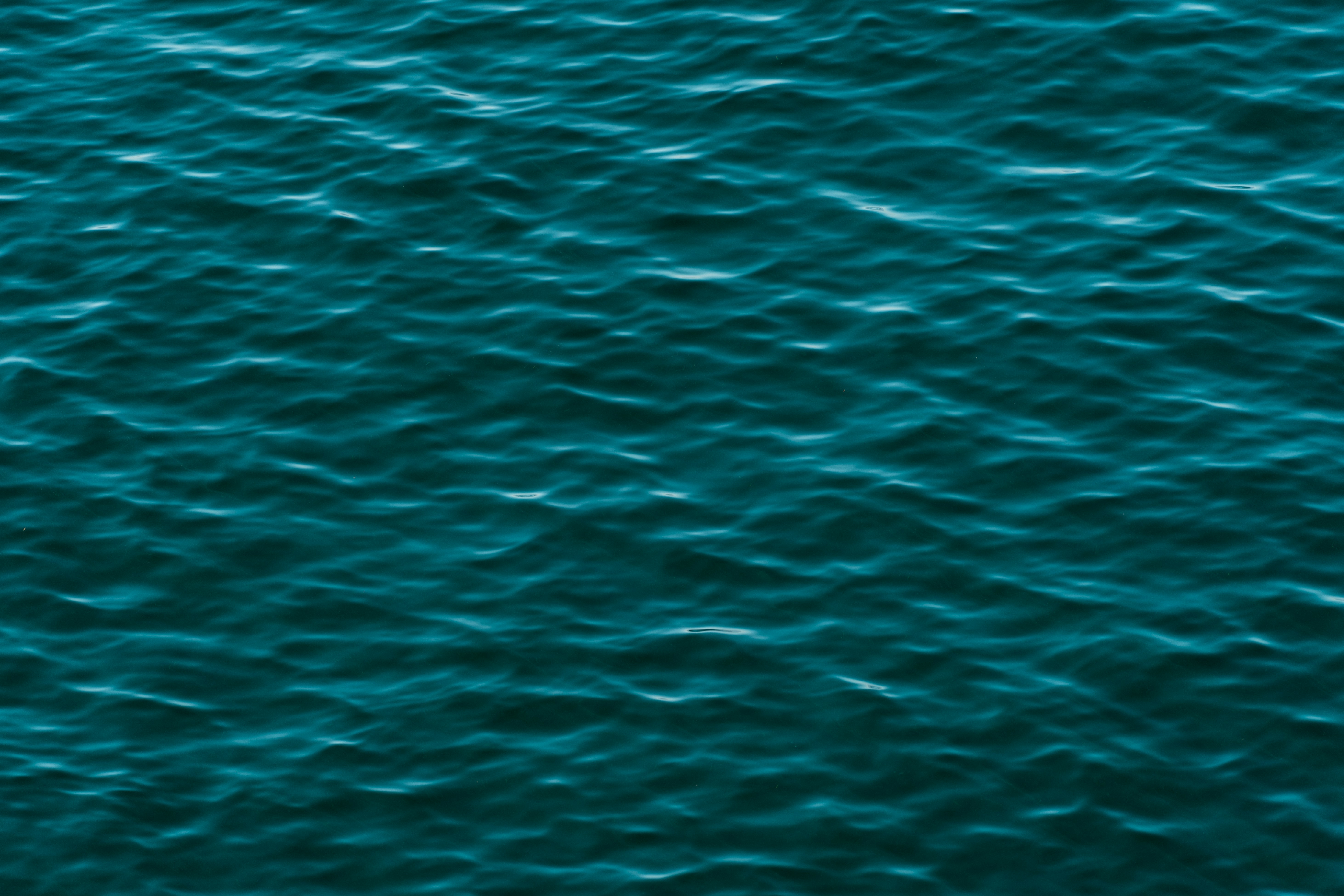 Photo by jaspergarrattphotography