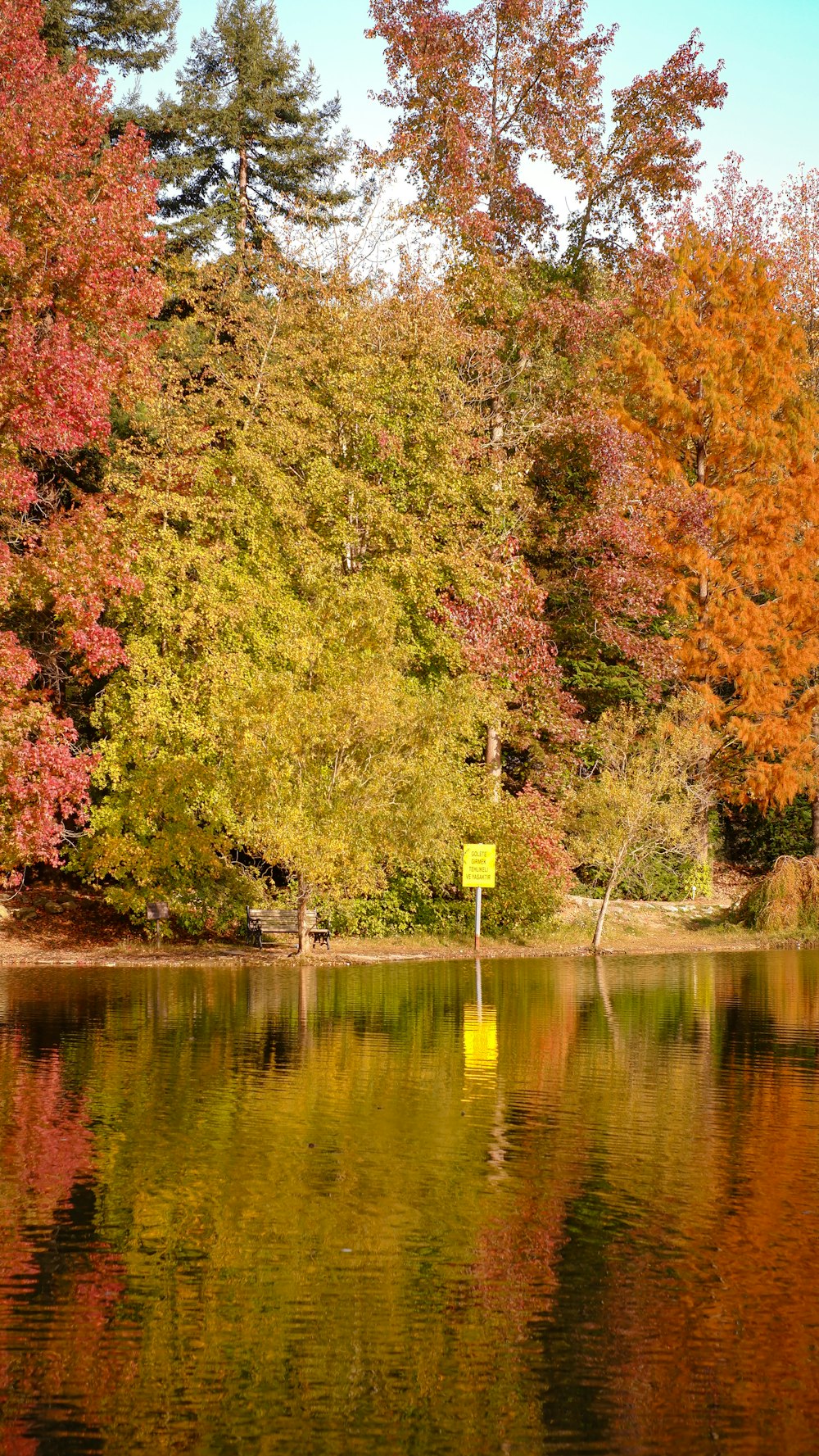 un plan d’eau entouré d’arbres