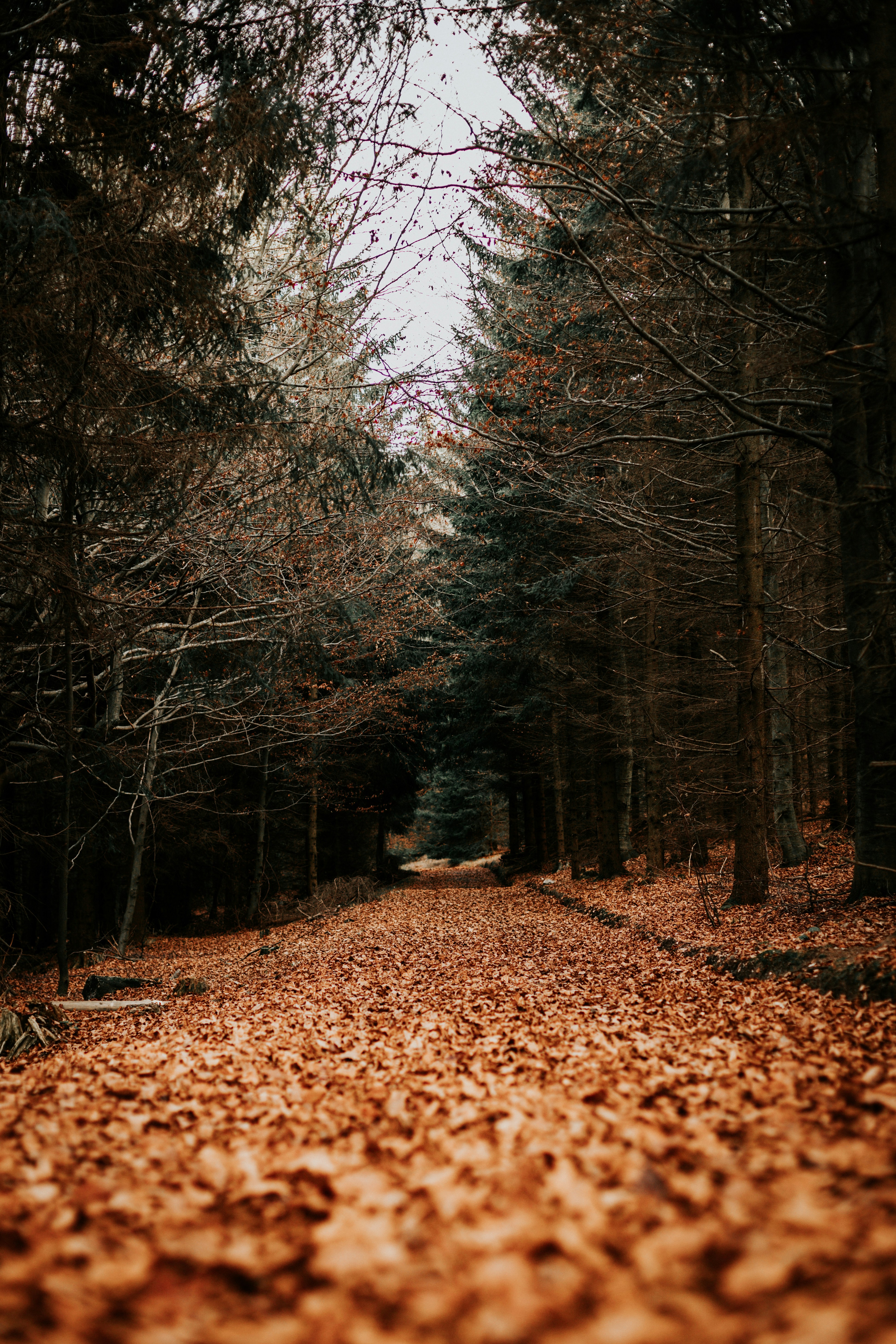 Condemns because of an abortion