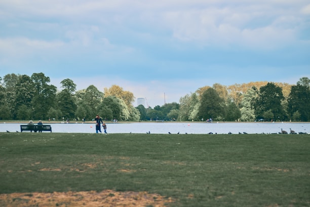 A scenic view of Lakepines community park with families enjoying the outdoors.