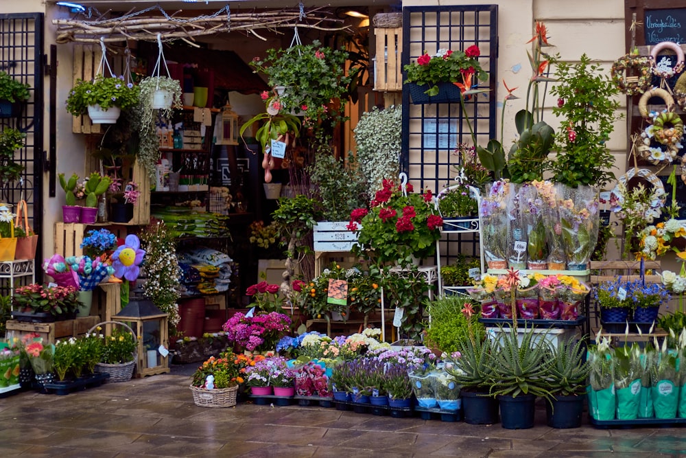 a flower shop with many flowers