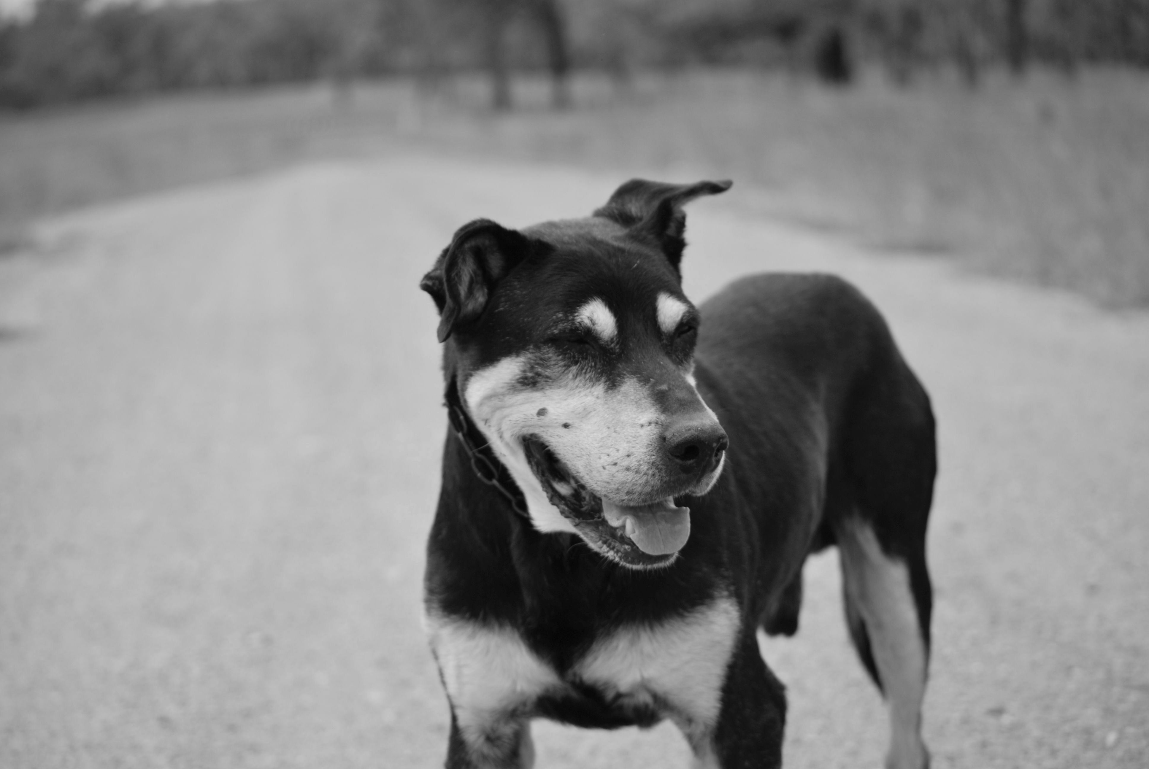 Photo by kate_lindy87