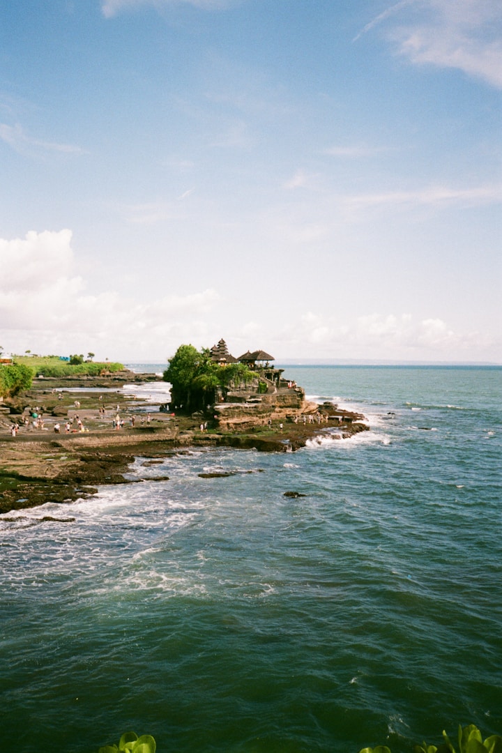 Rice terraces in Canggu
