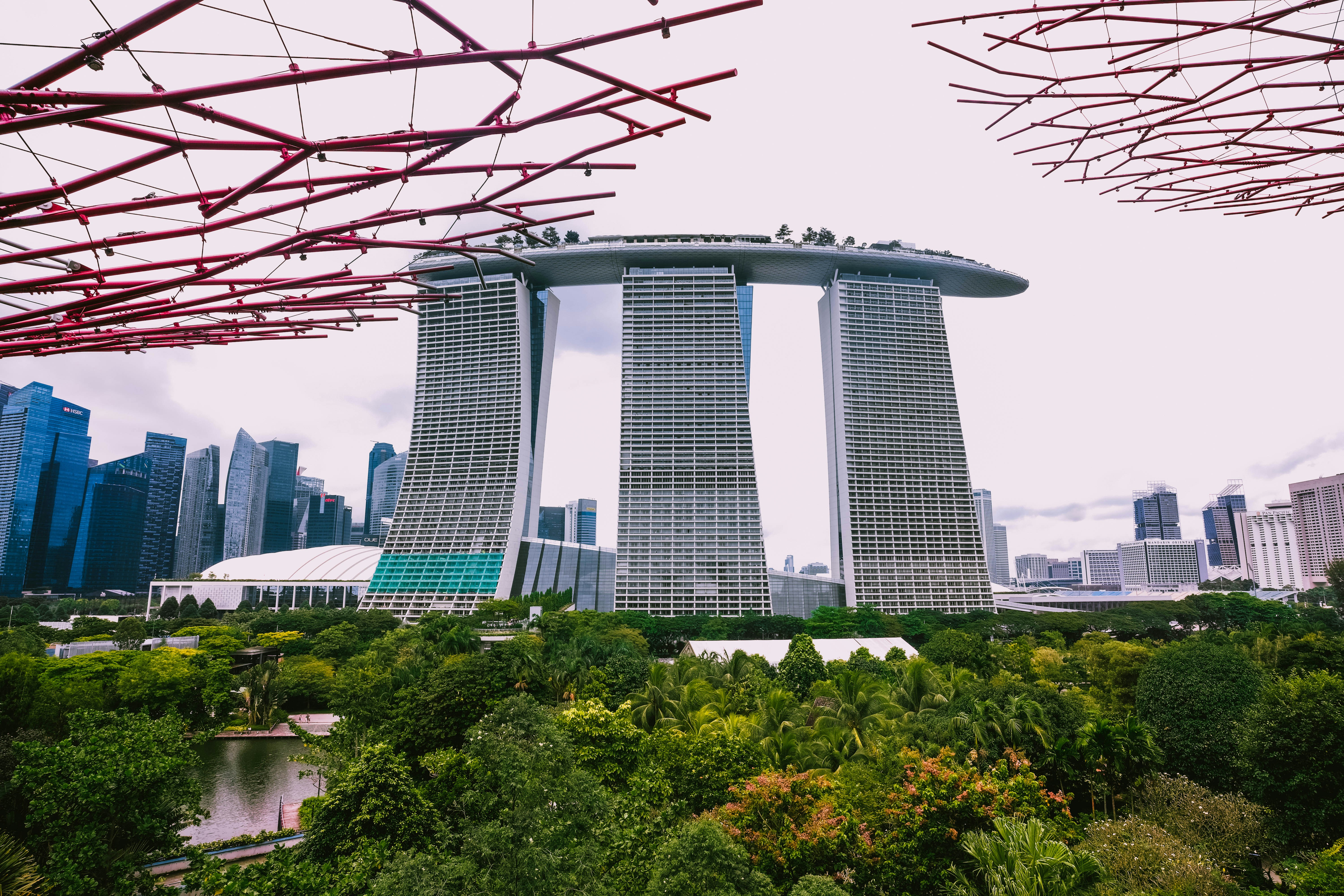 a city skyline with trees and a river