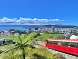 A vibrant cityscape view featuring a bright red cable car on a track with lush green foliage in the foreground. The background includes a city skyline with various buildings and a calm blue harbor under a clear sky with fluffy clouds.