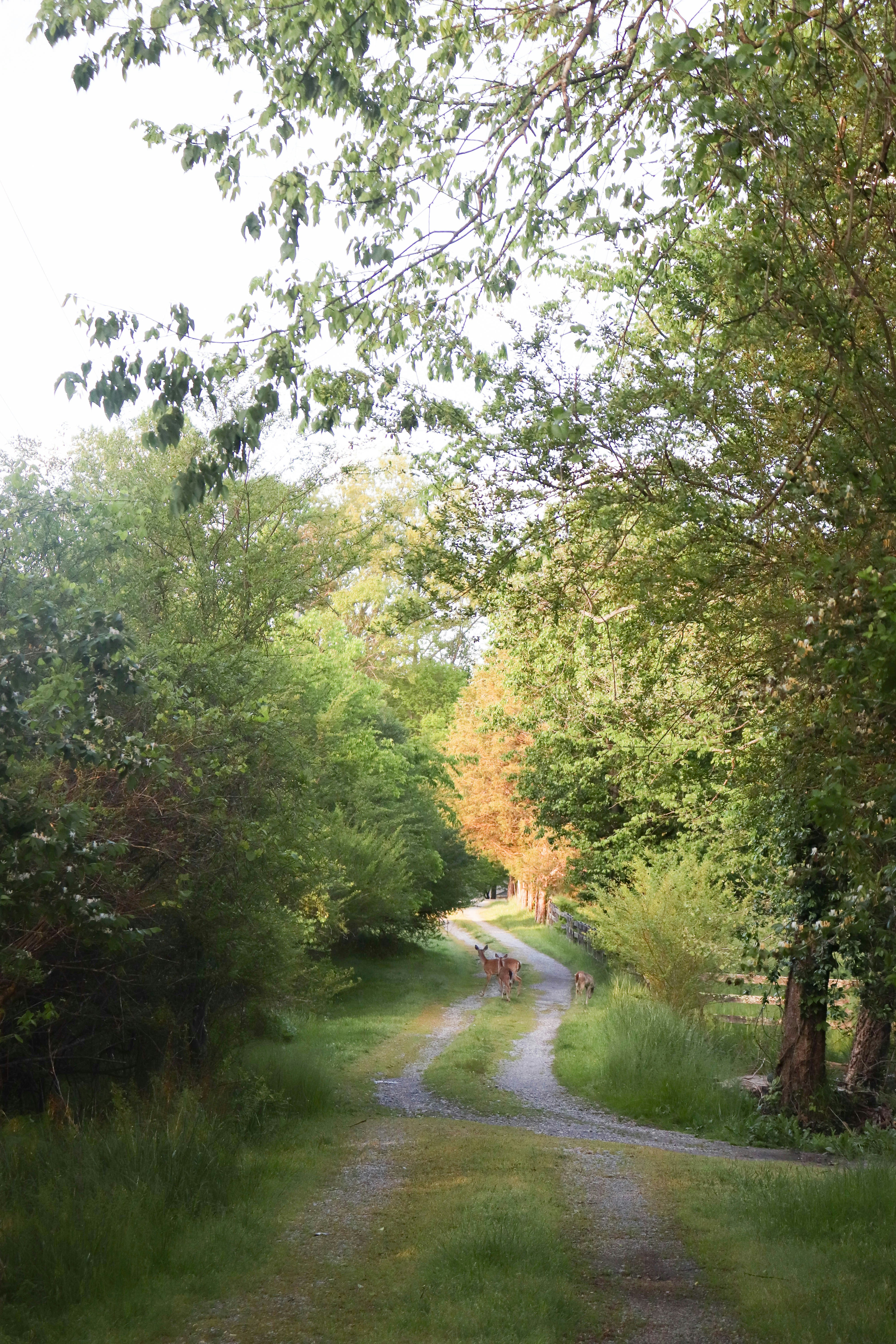 Photo by lroberts067