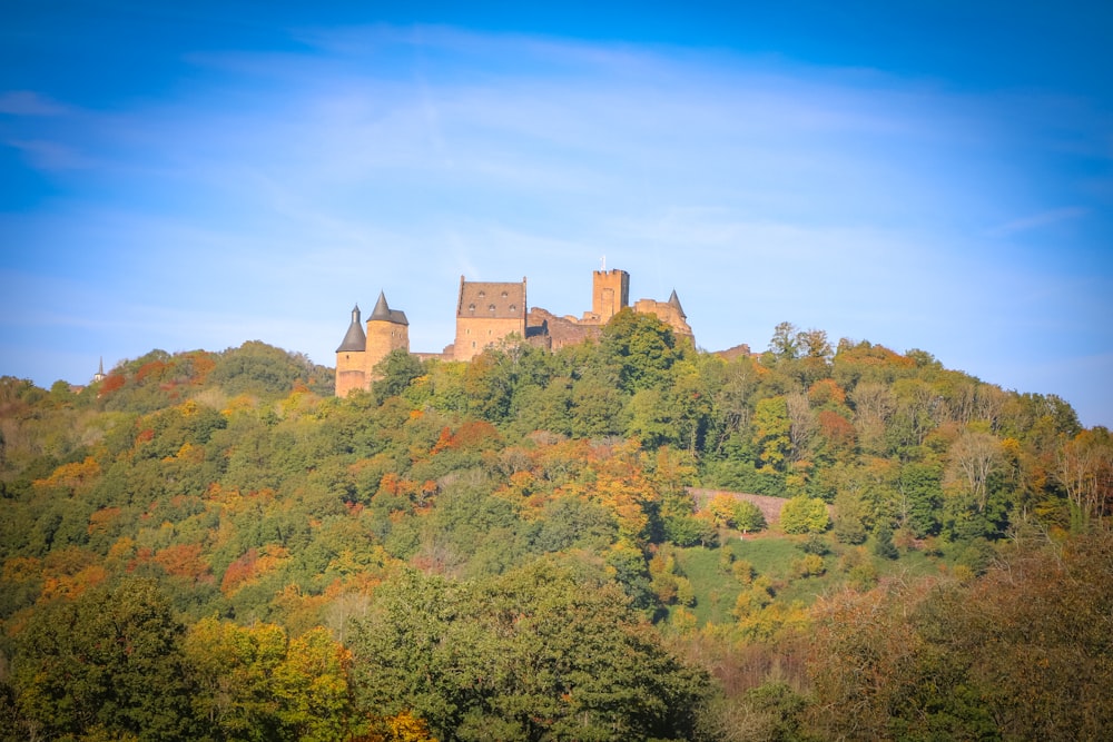 a castle on a hill